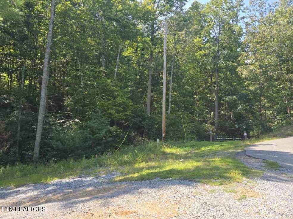 0 Red Rooster Way Sevierville TN 37876