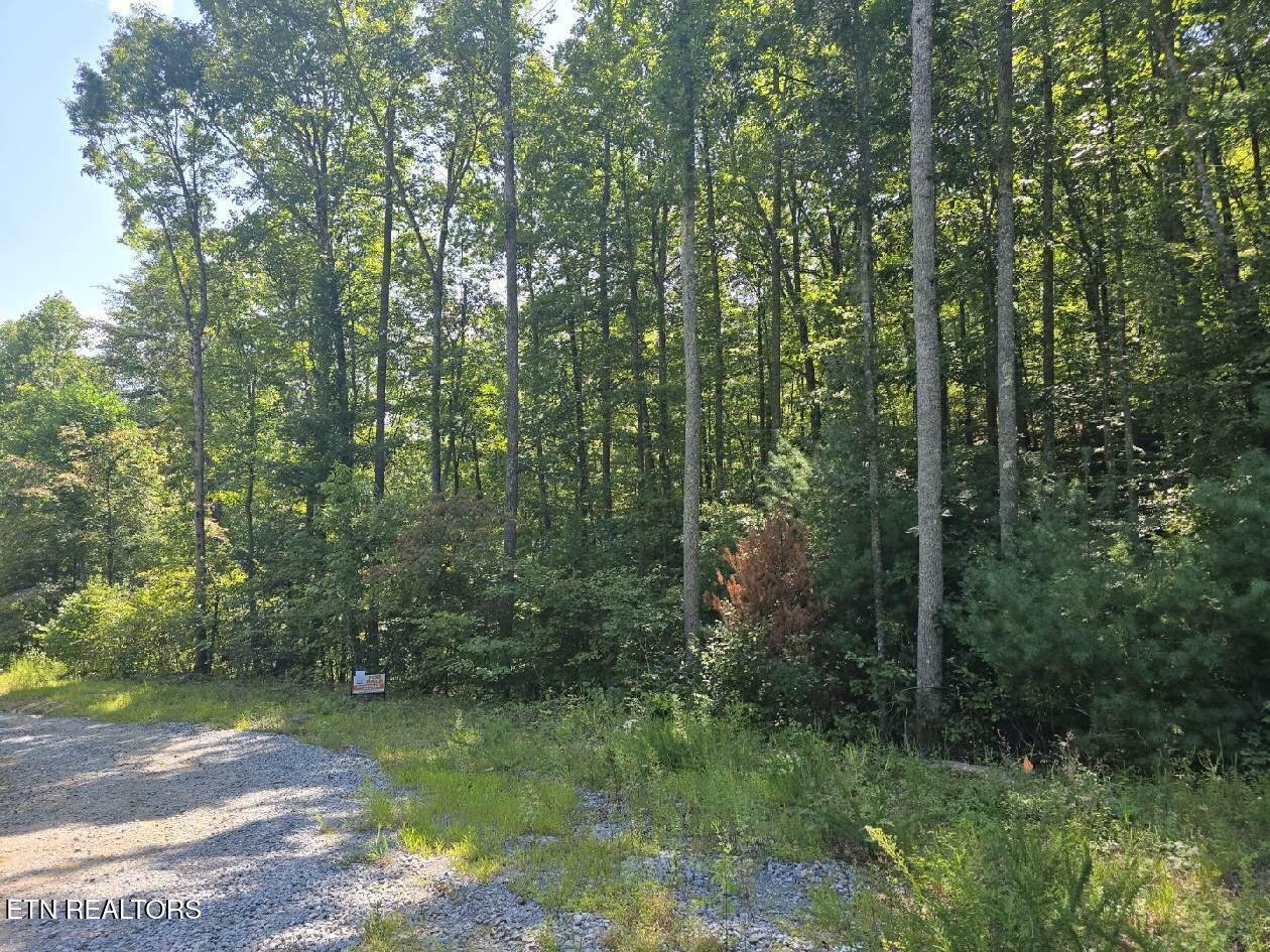 0 Red Rooster Way Sevierville TN 37876