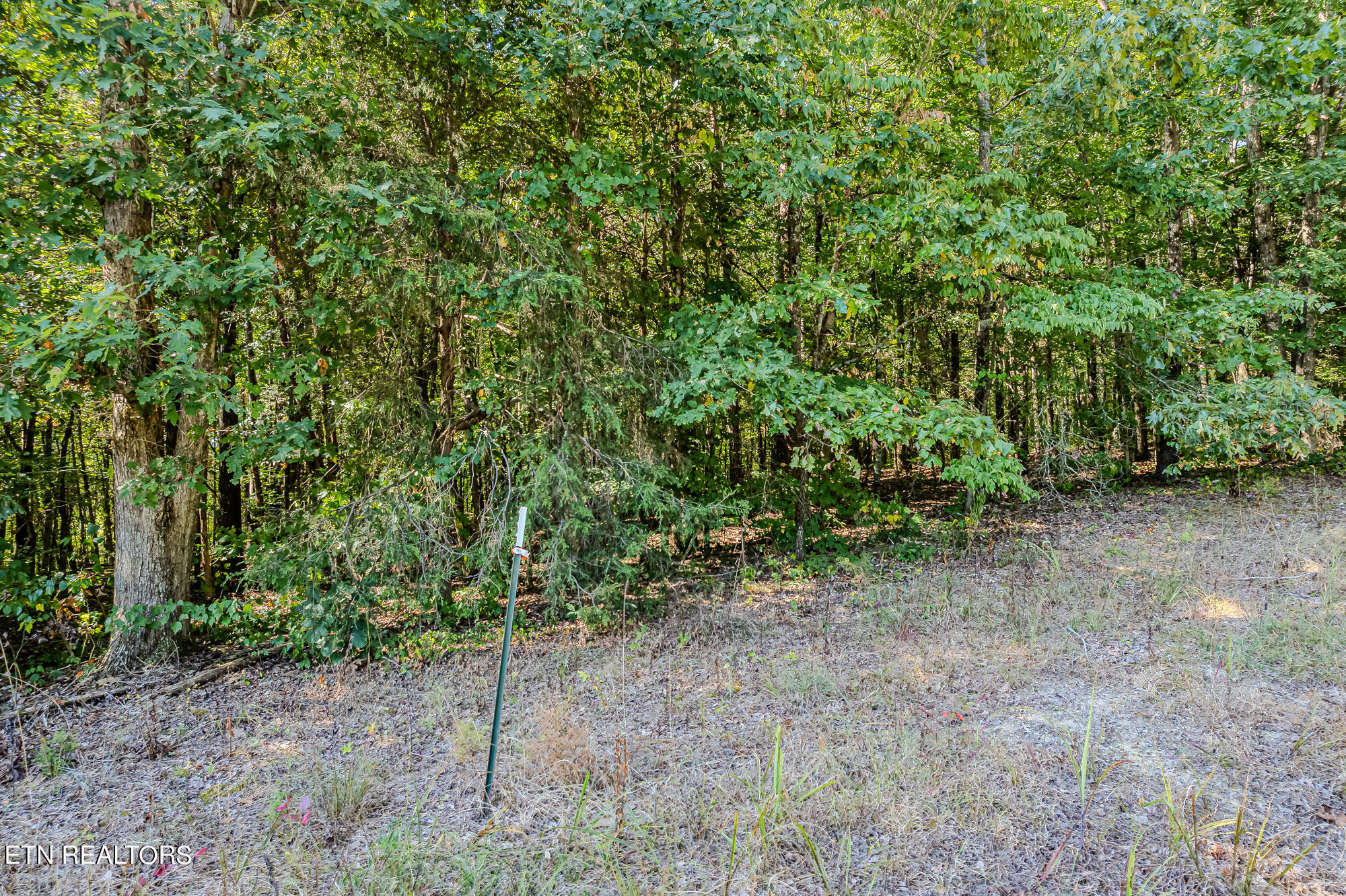 189 County Road 182 Decatur TN 37322