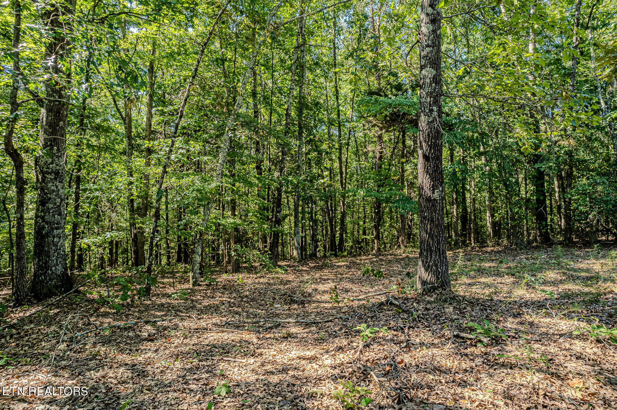 189 County Road 182 Decatur TN 37322