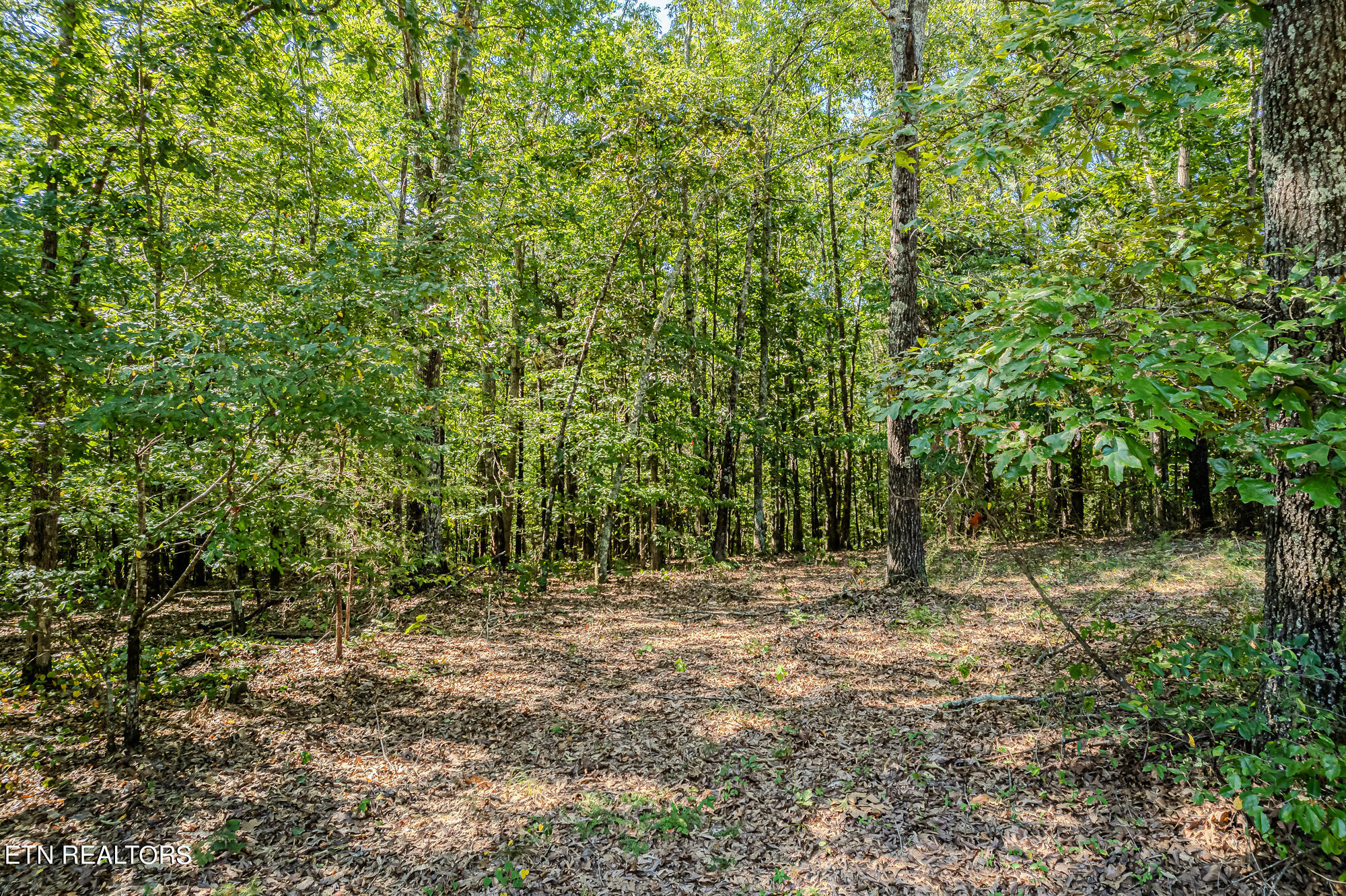 189 County Road 182 Decatur TN 37322