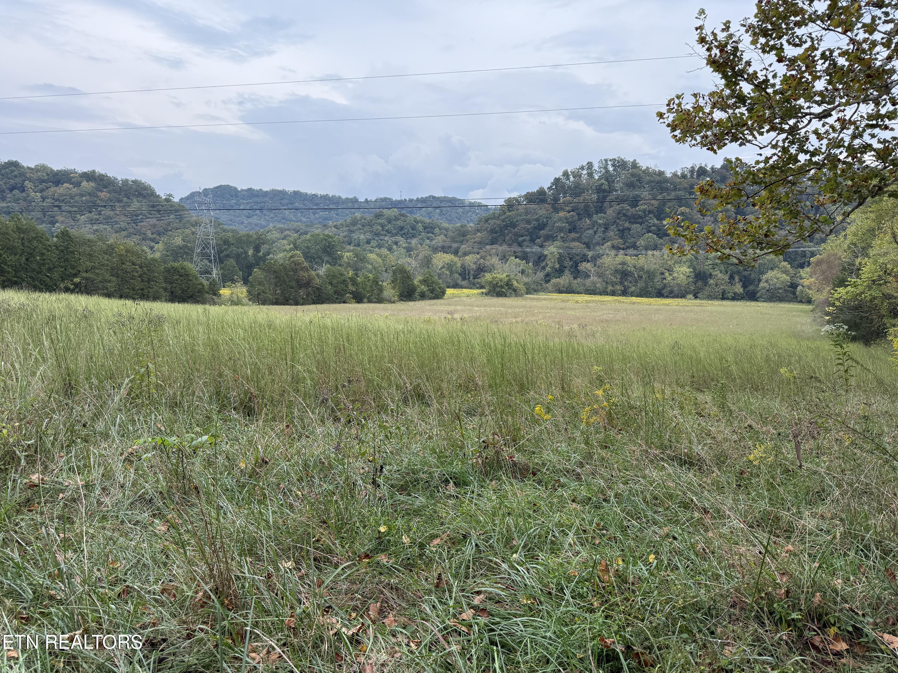 Pedigo Road Powell TN 37849