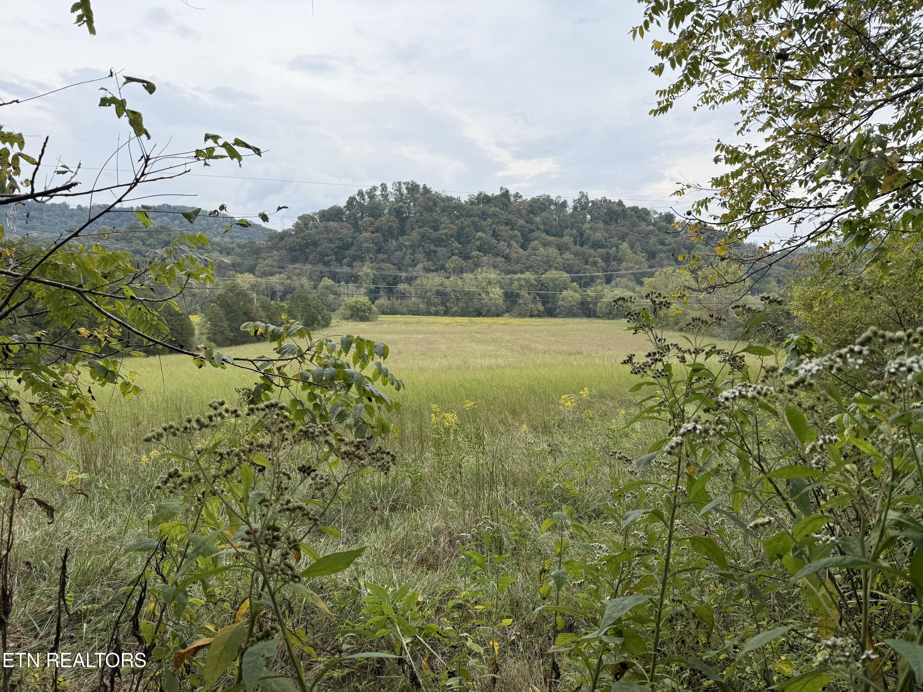Pedigo Road Powell TN 37849