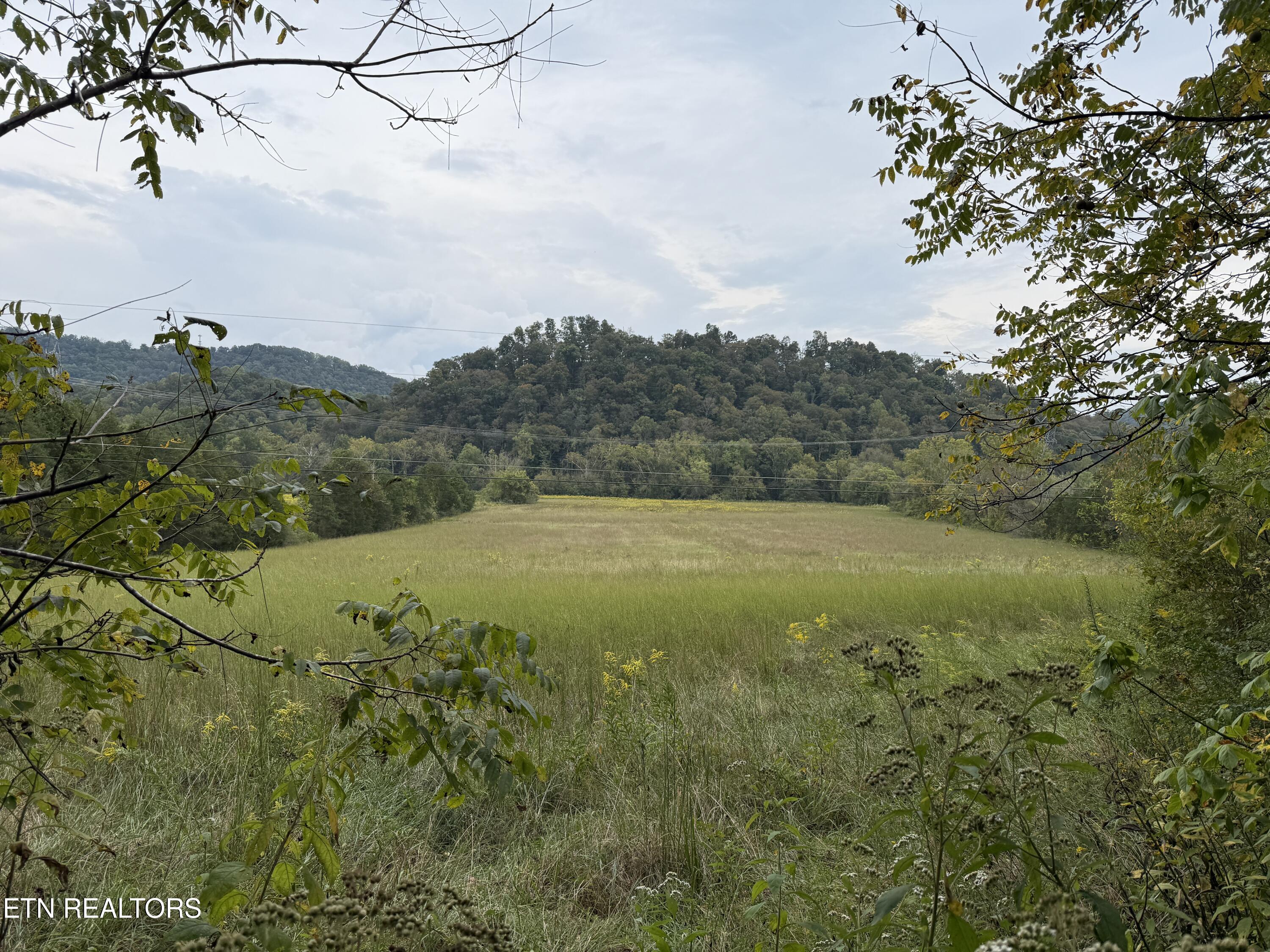 Pedigo Road Powell TN 37849