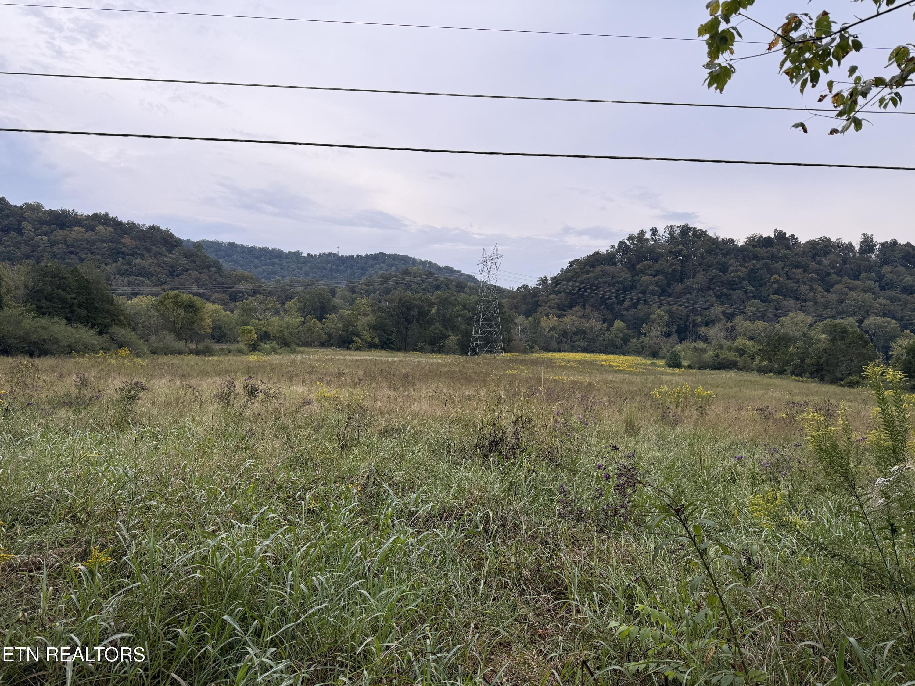 Pedigo Road Powell TN 37849