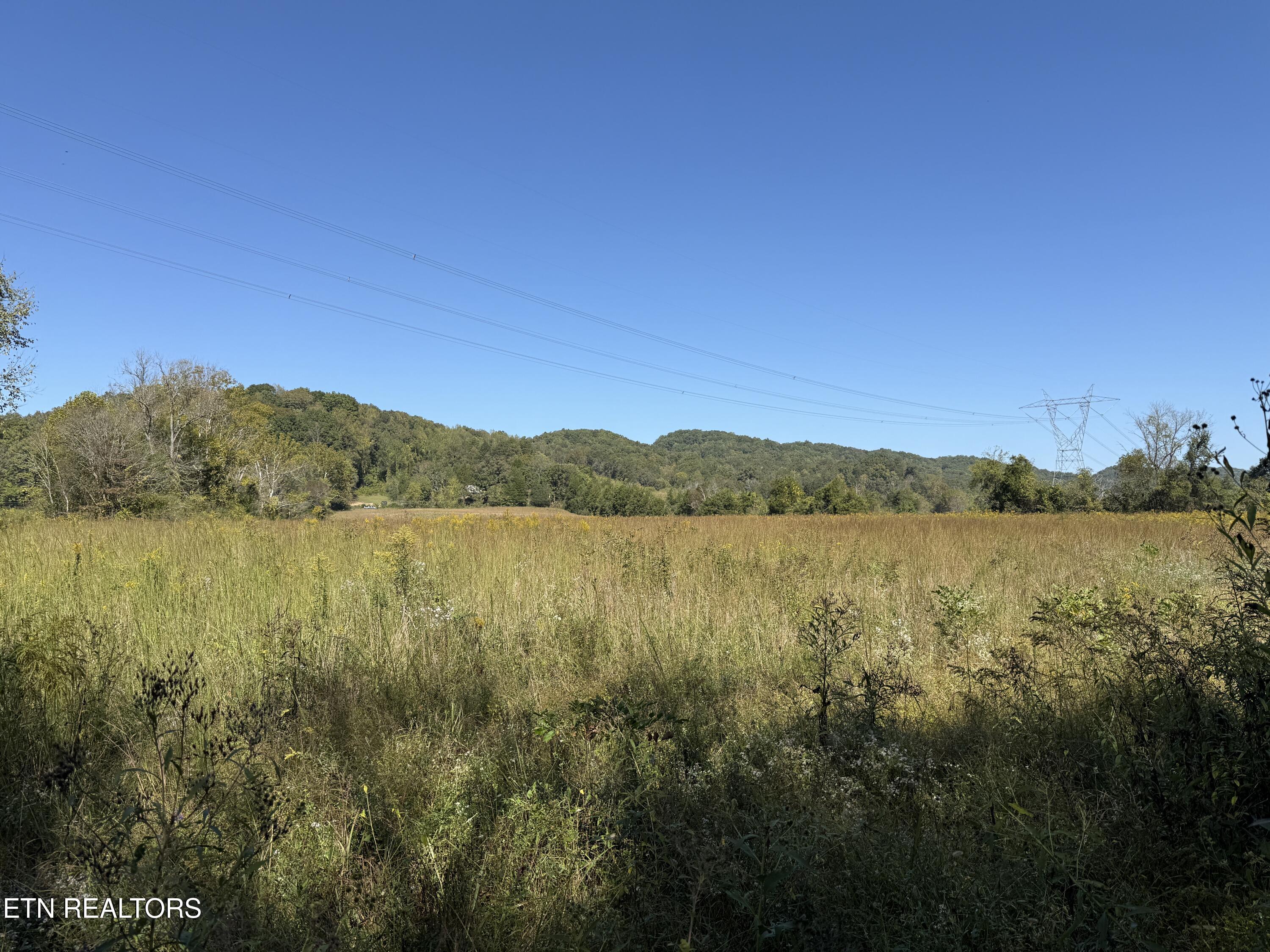 Pedigo Road Powell TN 37849