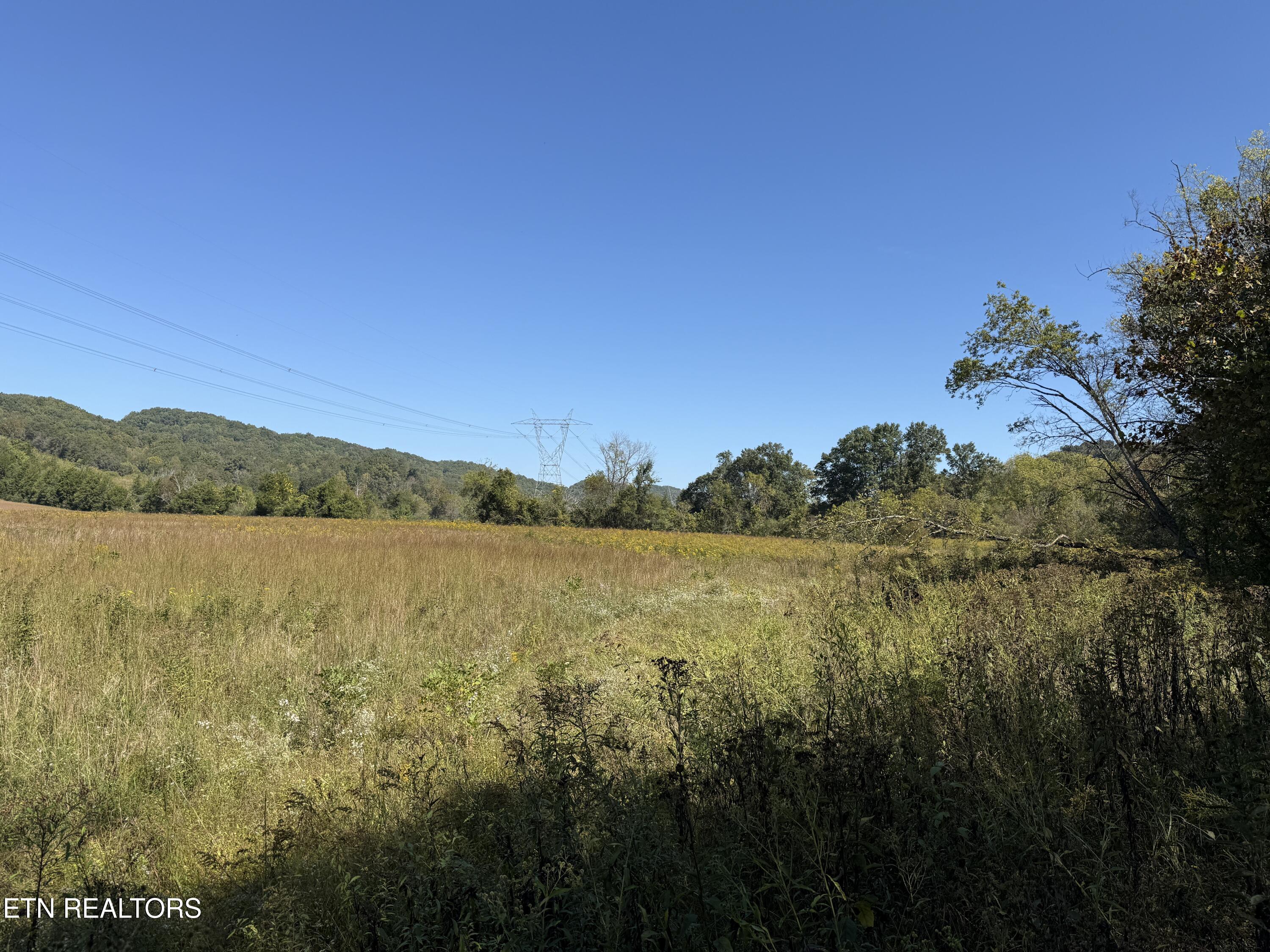 Pedigo Road Powell TN 37849