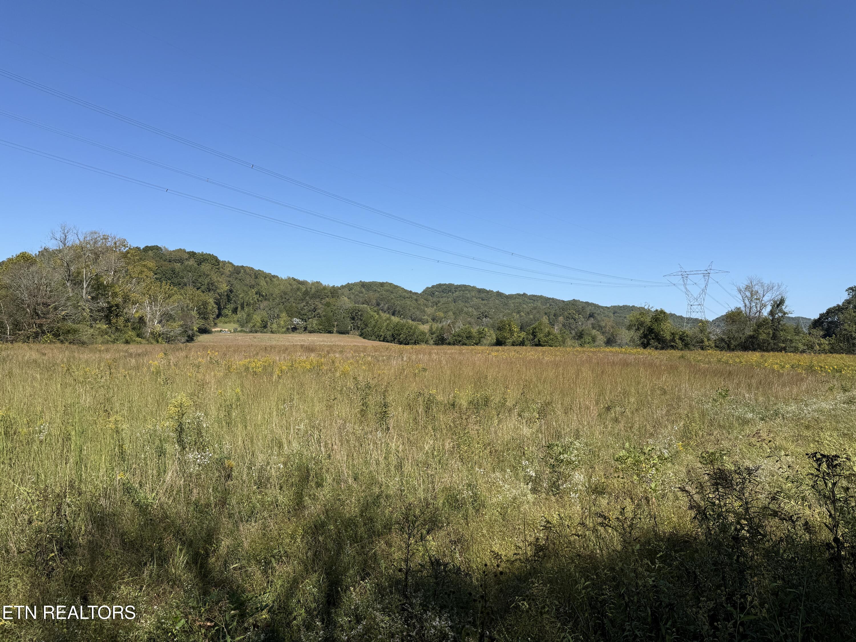 Pedigo Road Powell TN 37849