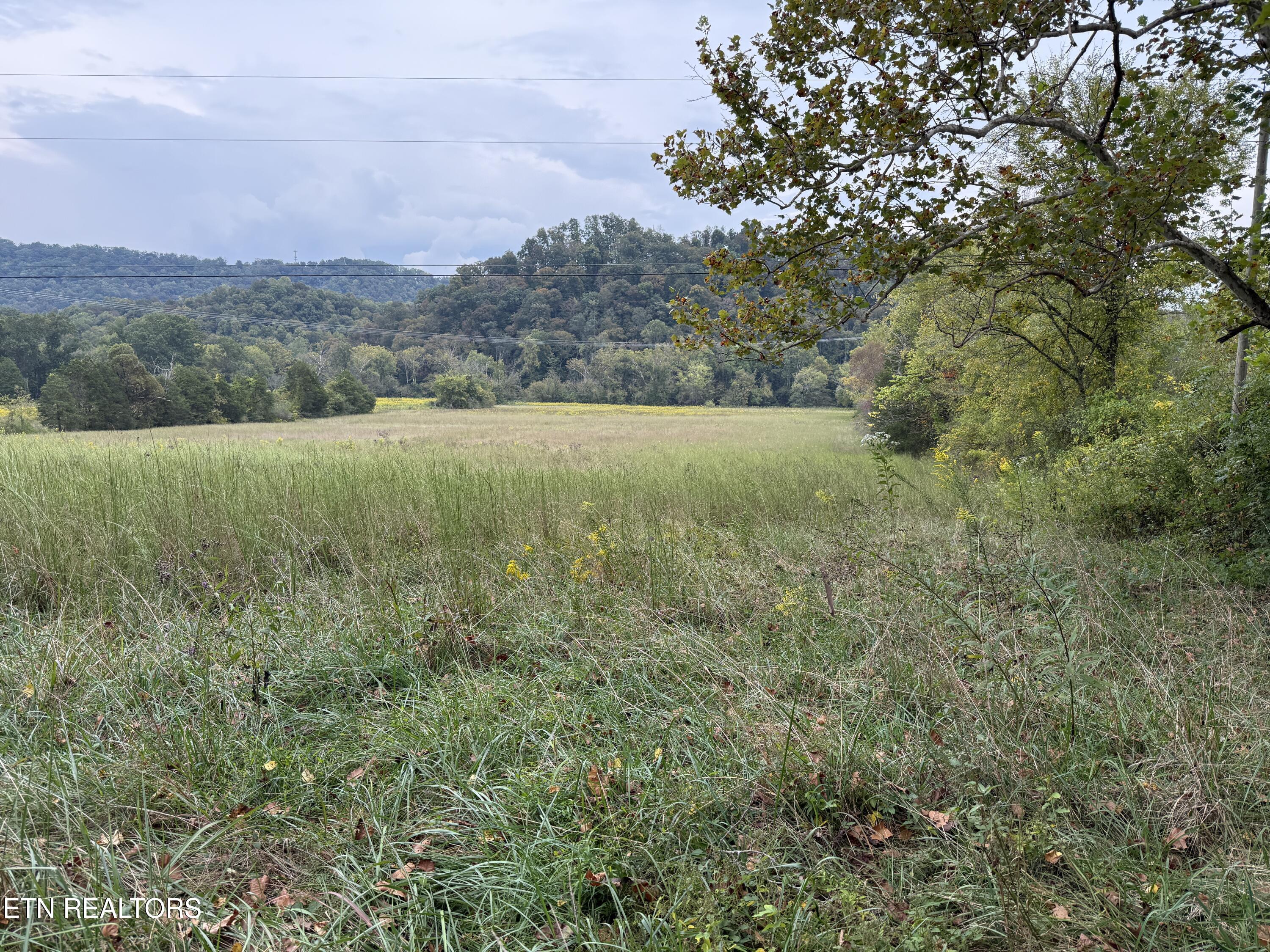 Pedigo Road Powell TN 37849