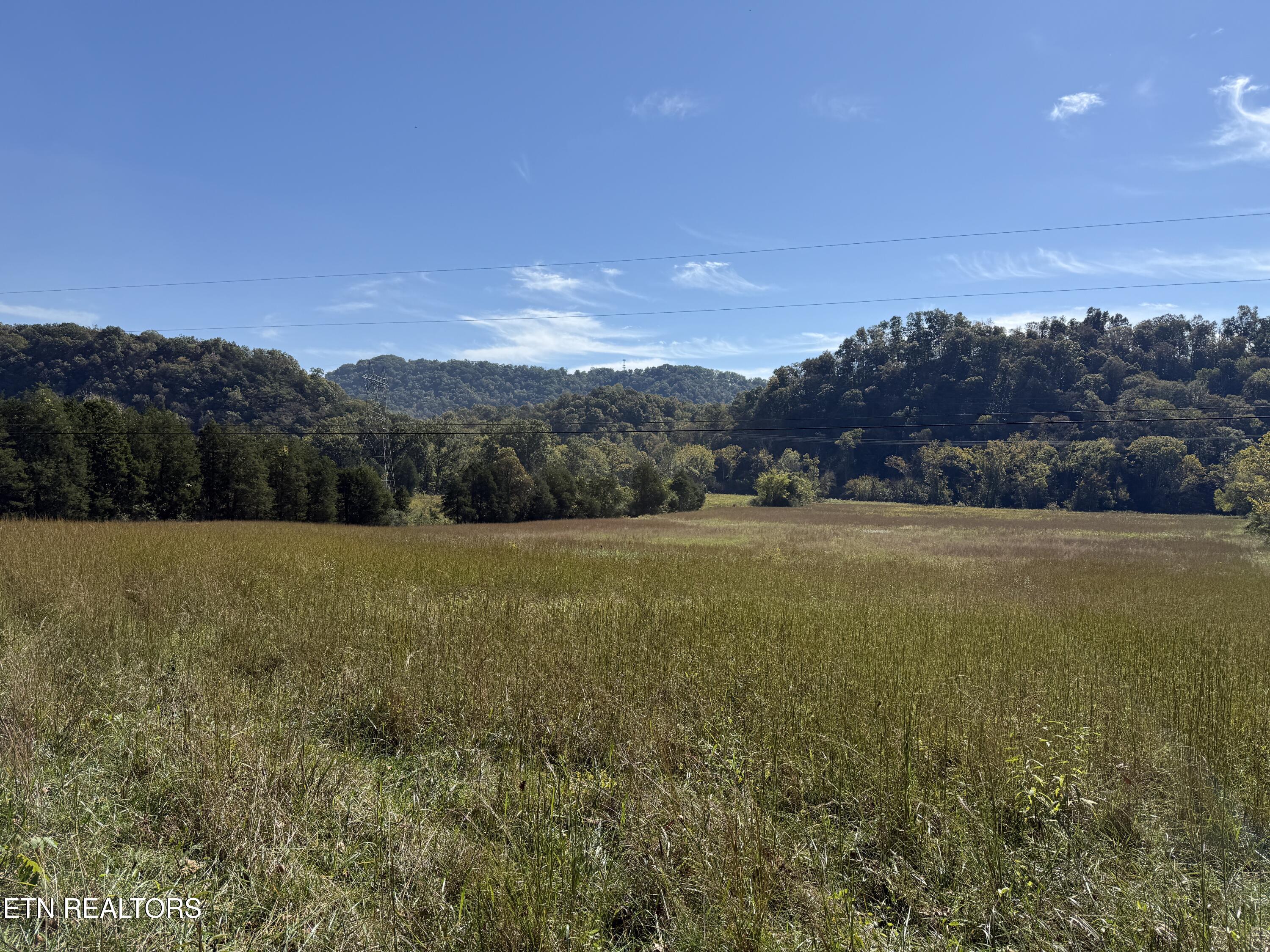 Pedigo Road Powell TN 37849