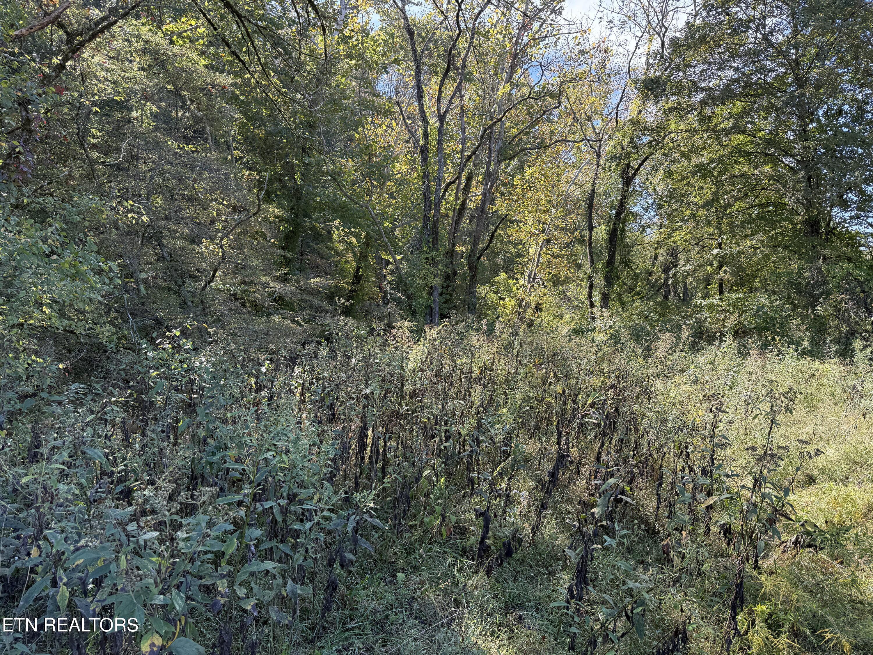 Pedigo Road Powell TN 37849