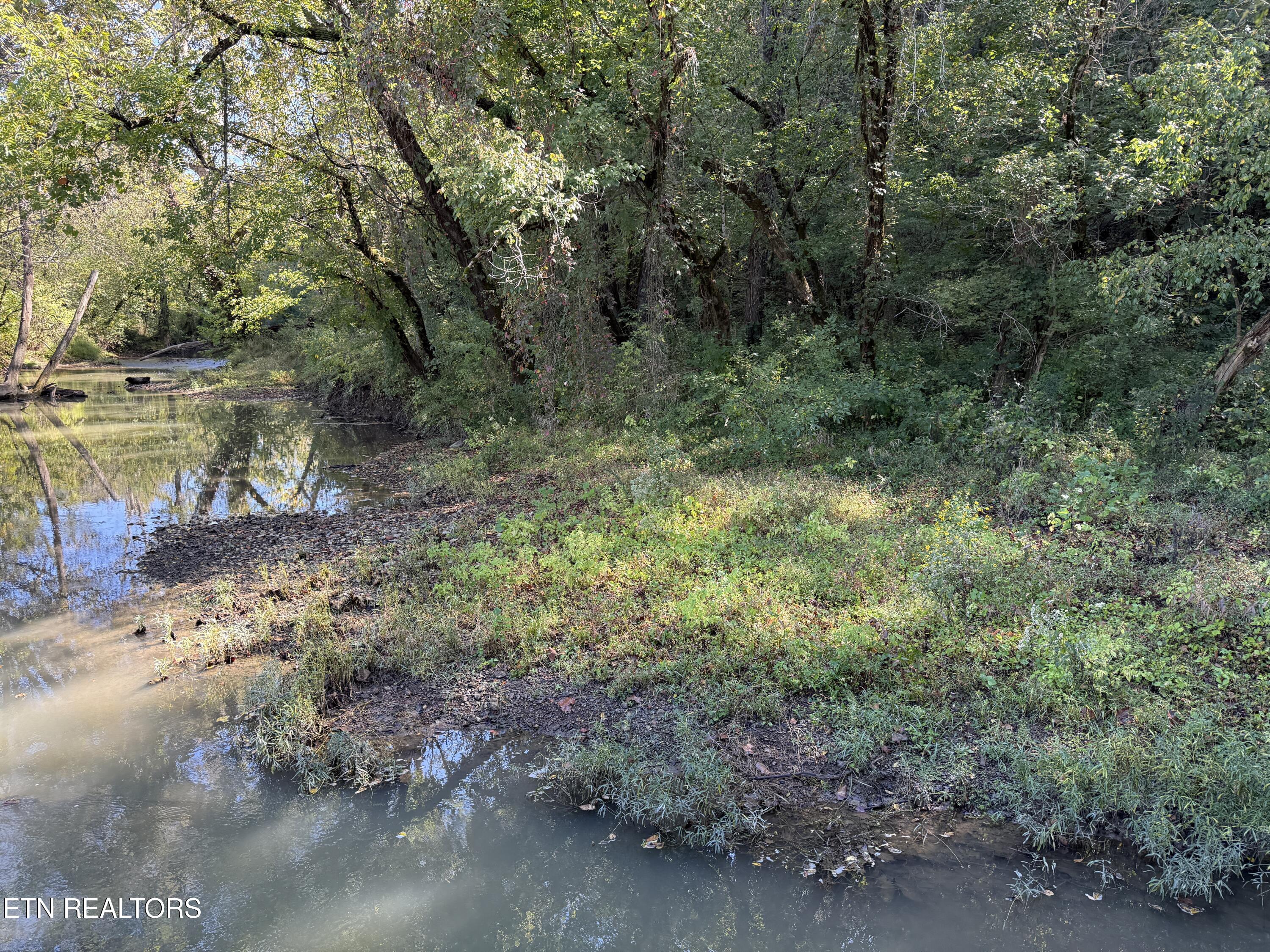 Pedigo Road Powell TN 37849