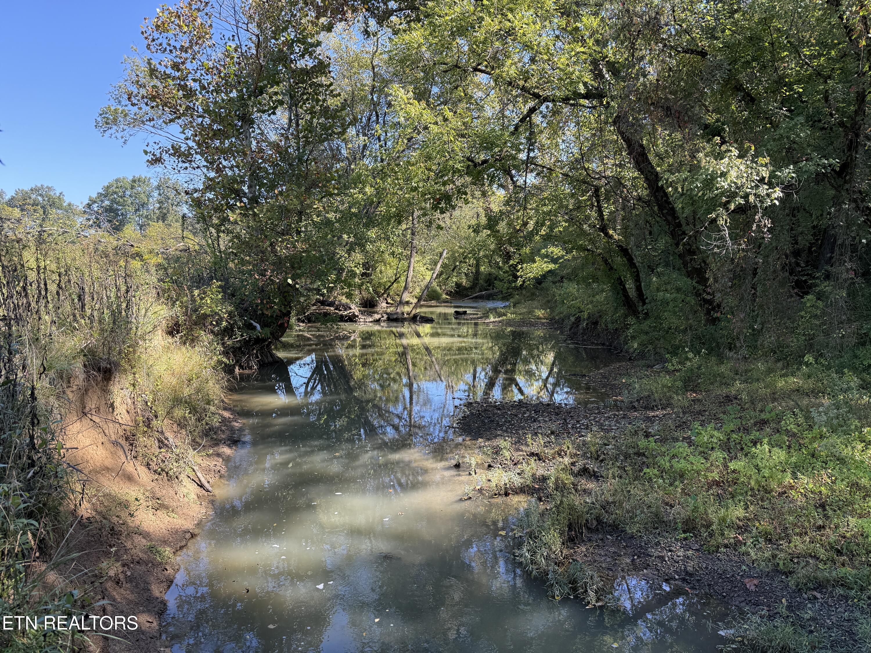 Pedigo Road Powell TN 37849