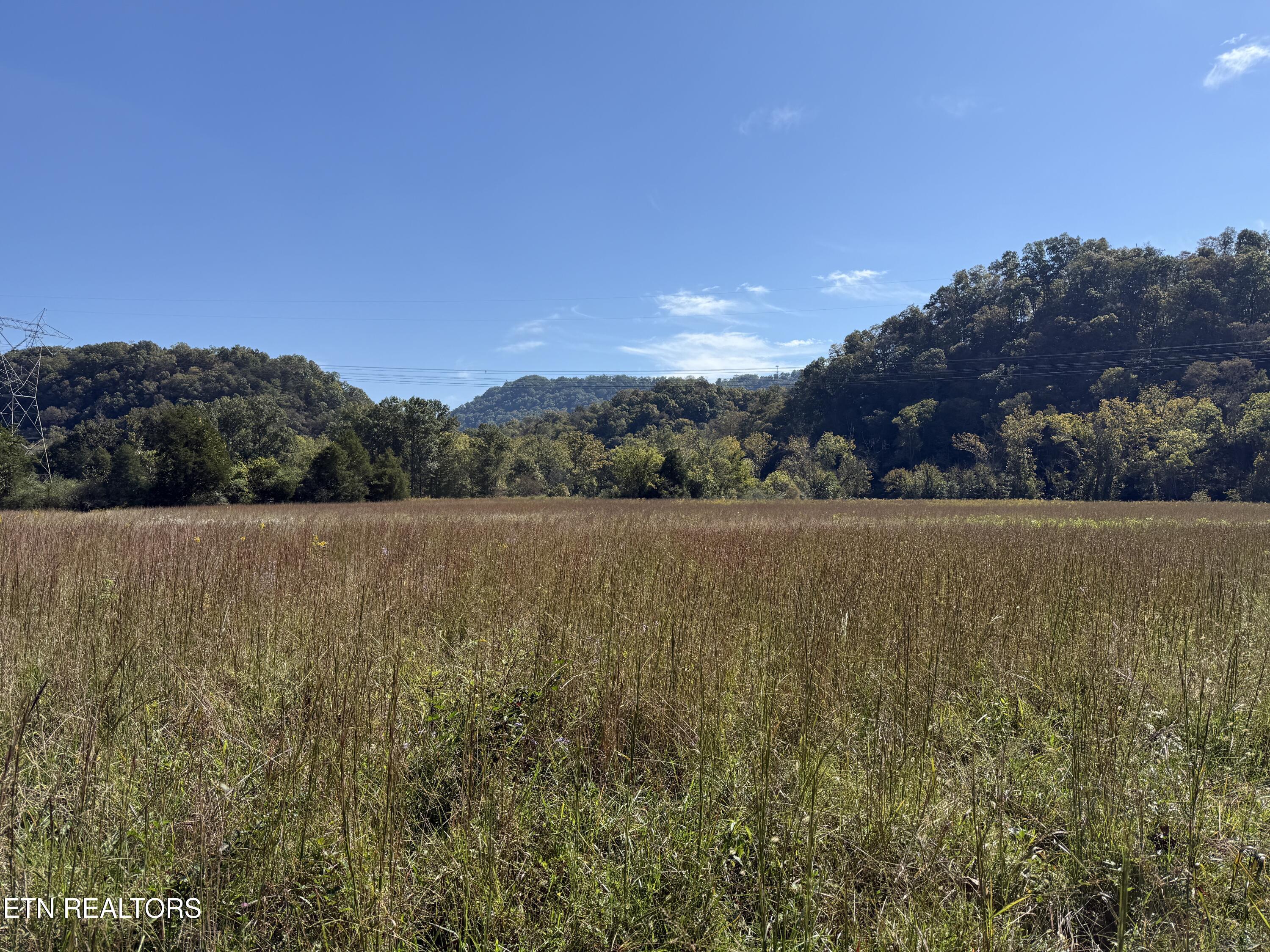 Pedigo Road Powell TN 37849
