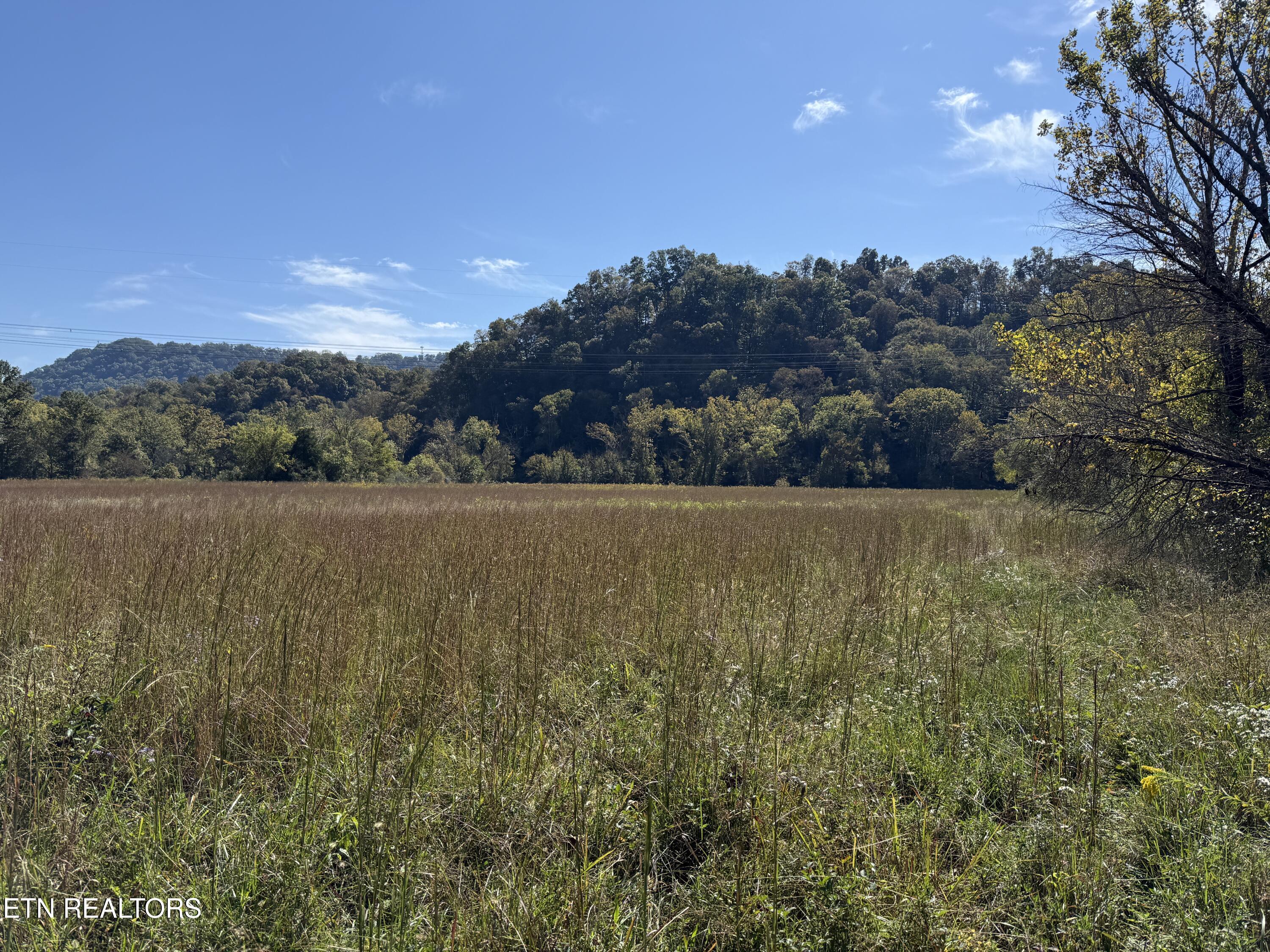 Pedigo Road Powell TN 37849