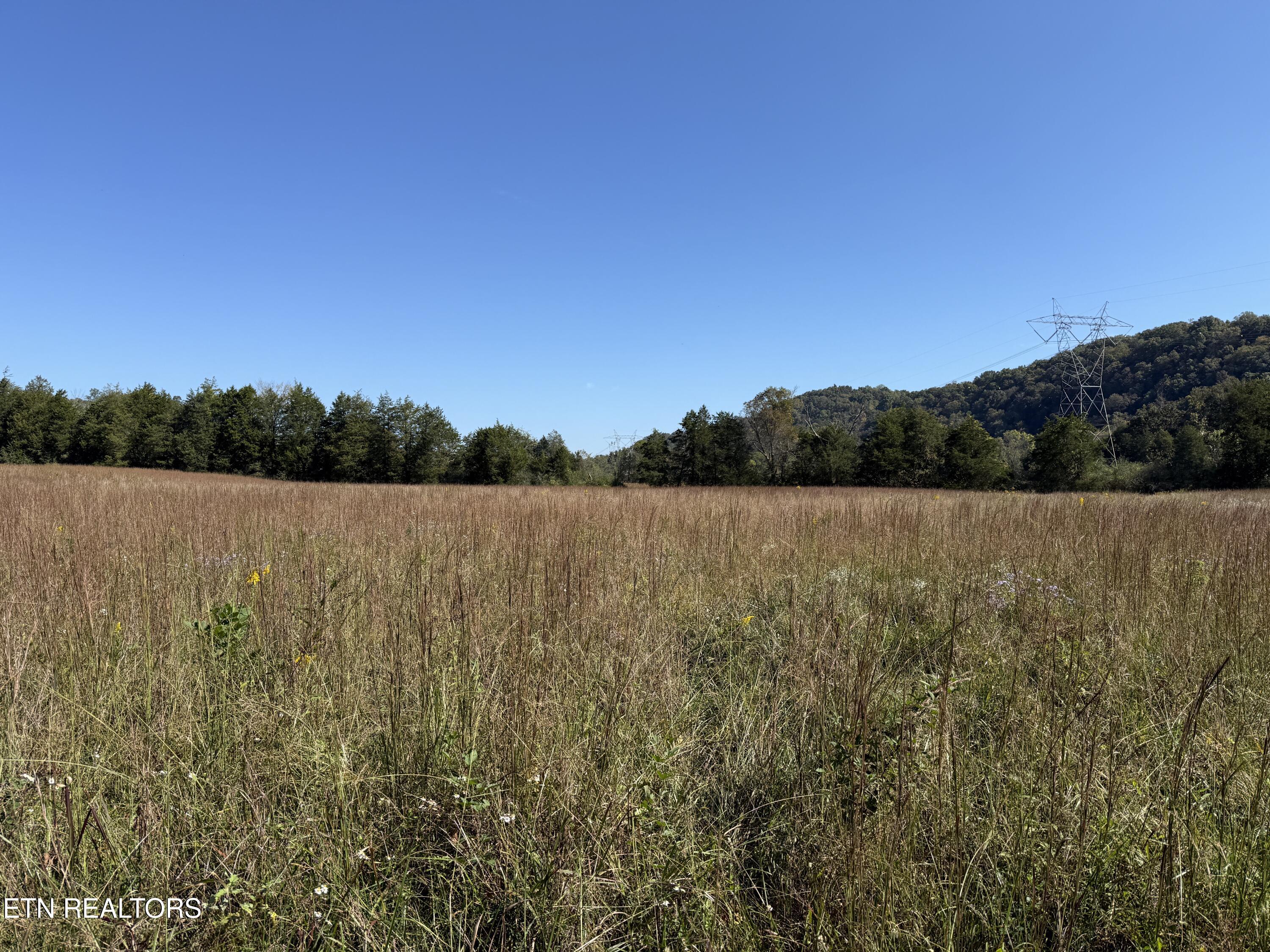 Pedigo Road Powell TN 37849