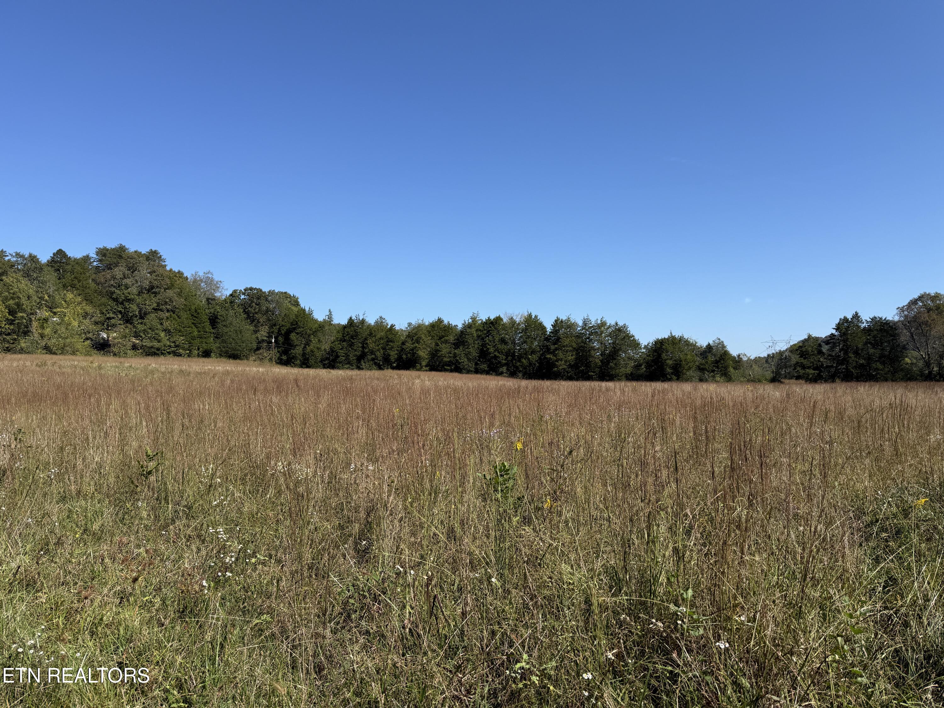 Pedigo Road Powell TN 37849