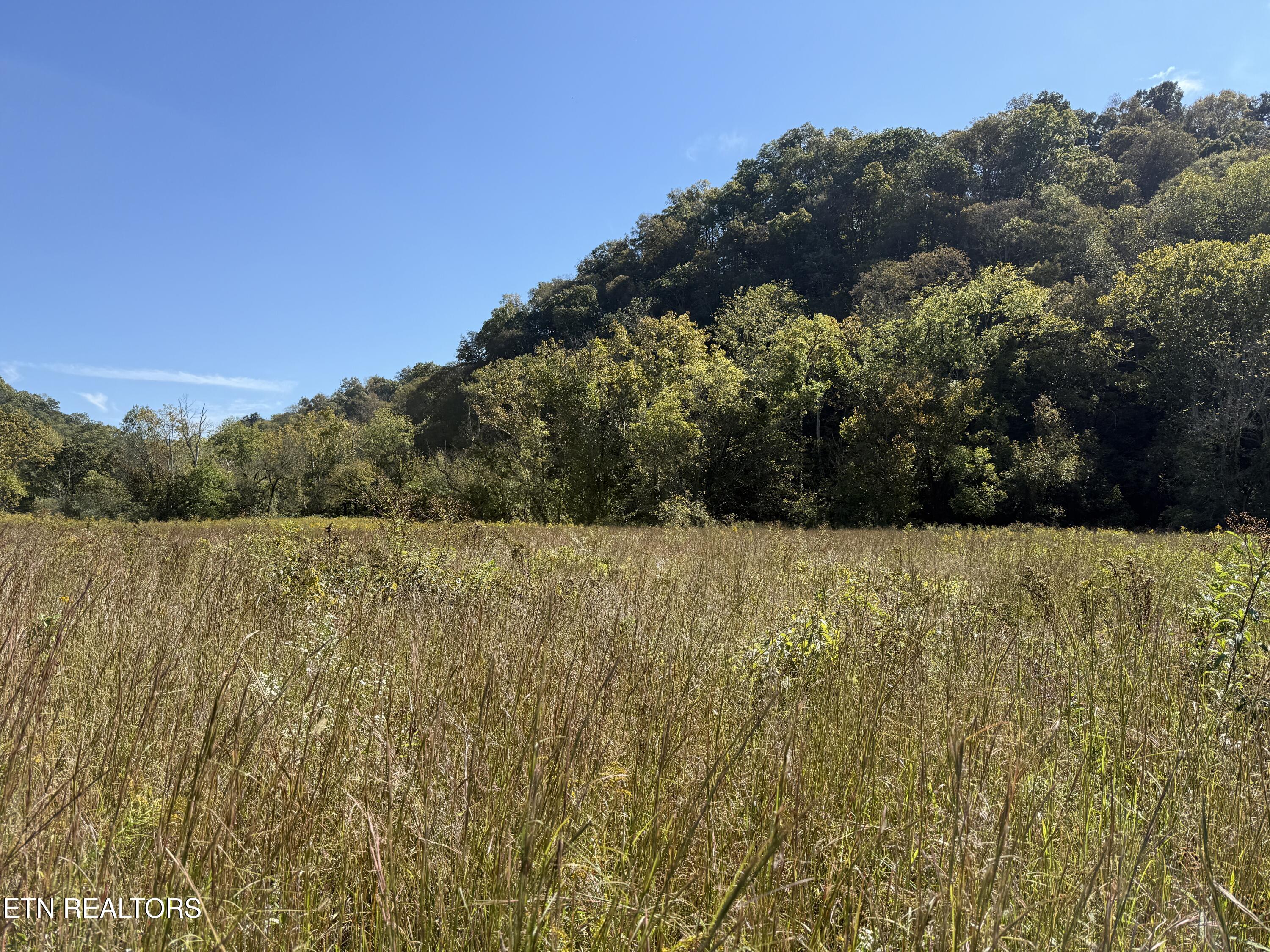 Pedigo Road Powell TN 37849