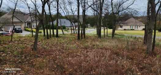 188 Dudi Trail Vonore TN 37885