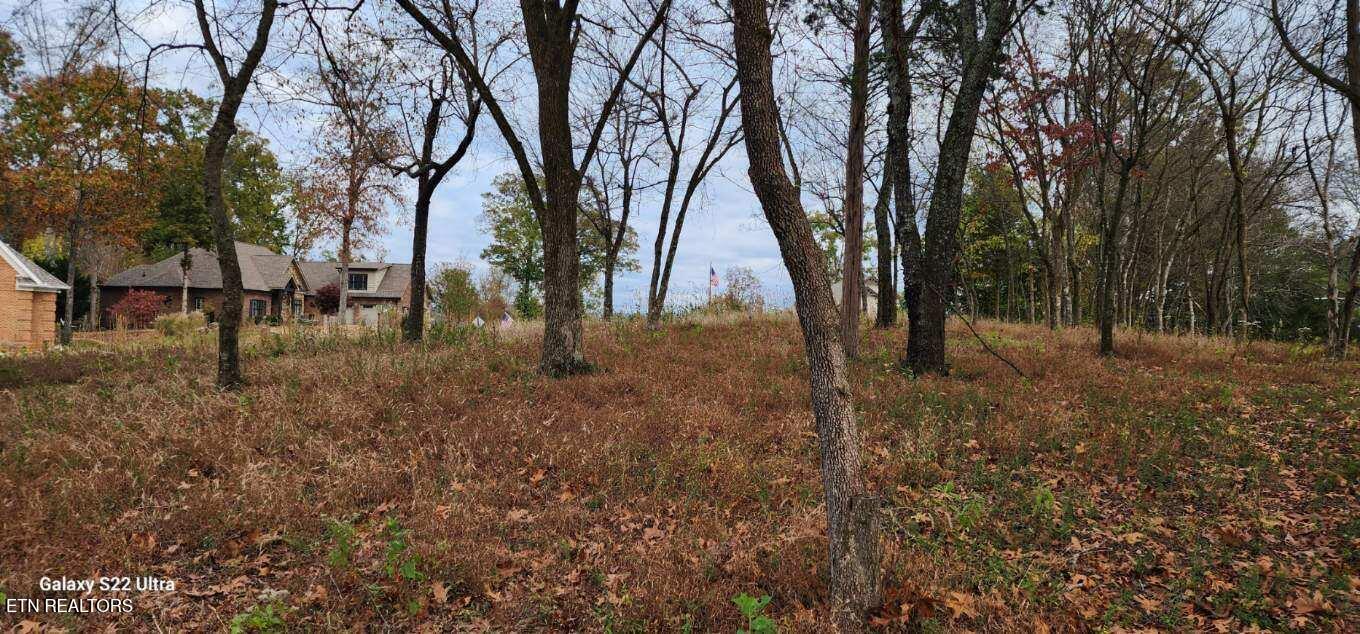 188 Dudi Trail Vonore TN 37885