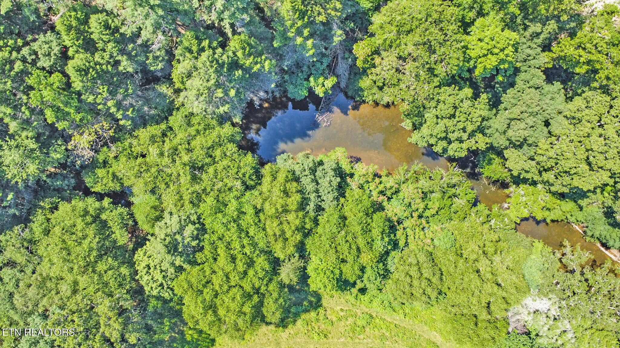 Lot 20 Daddys Creek Trail Crossville TN 38555