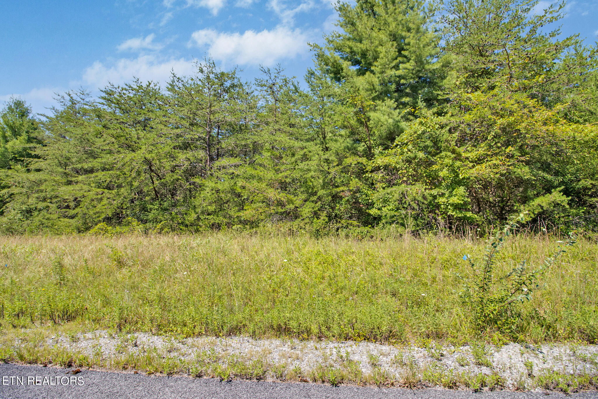 Lot 20 Daddys Creek Trail Crossville TN 38555