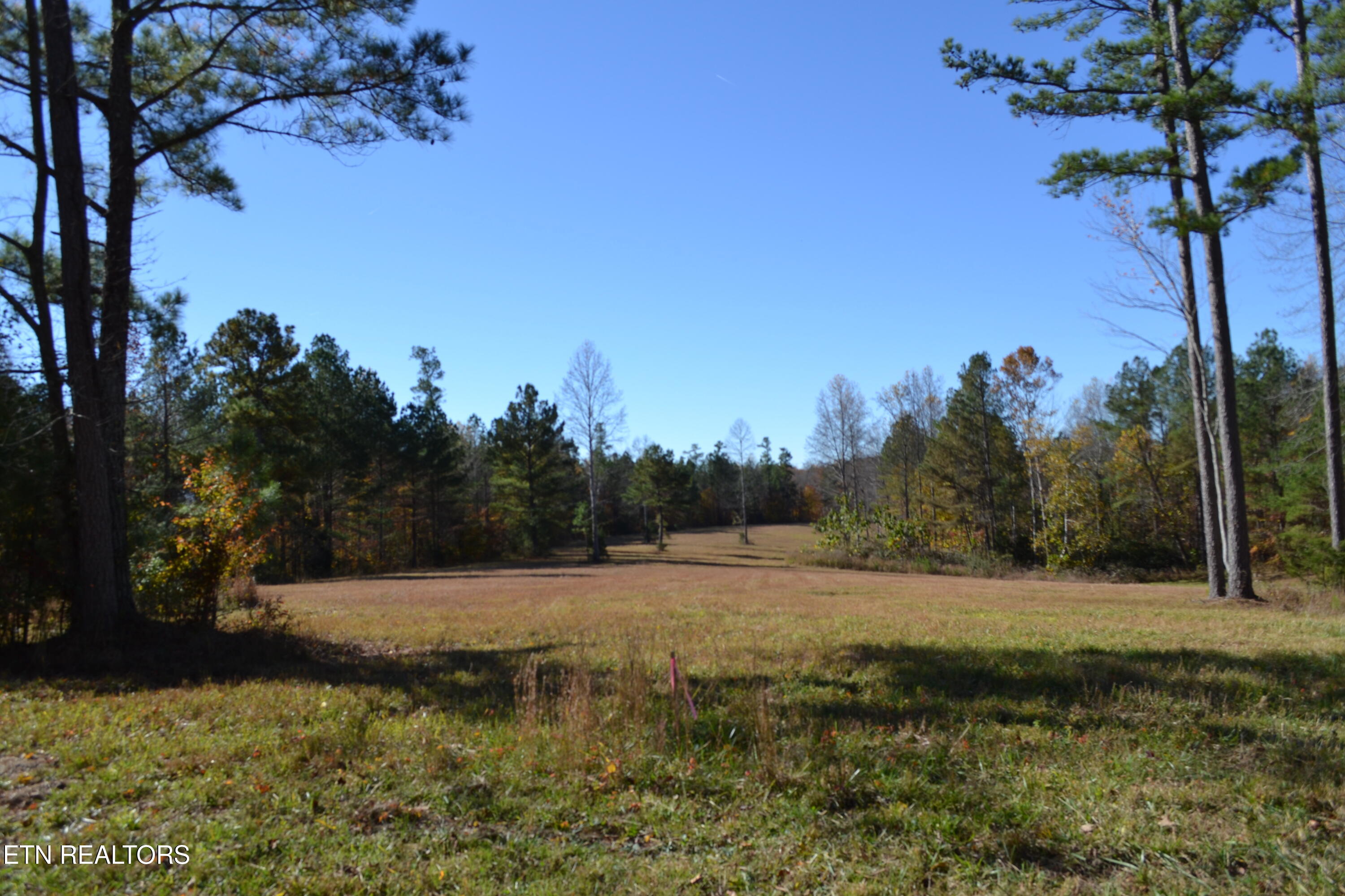 28.30AC Whitson Hollow Road Red Boiling Springs TN 37150