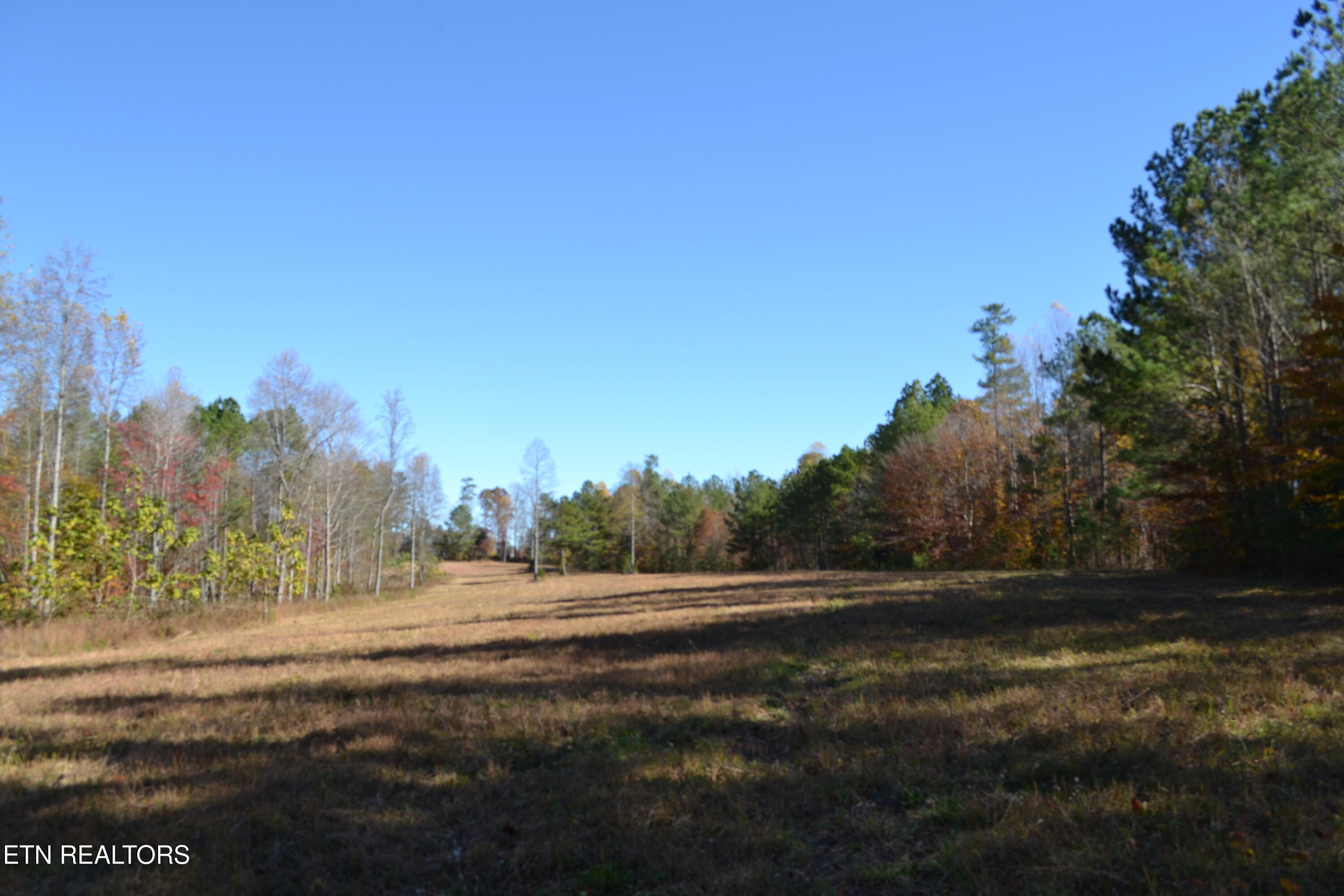 28.30AC Whitson Hollow Road Red Boiling Springs TN 37150