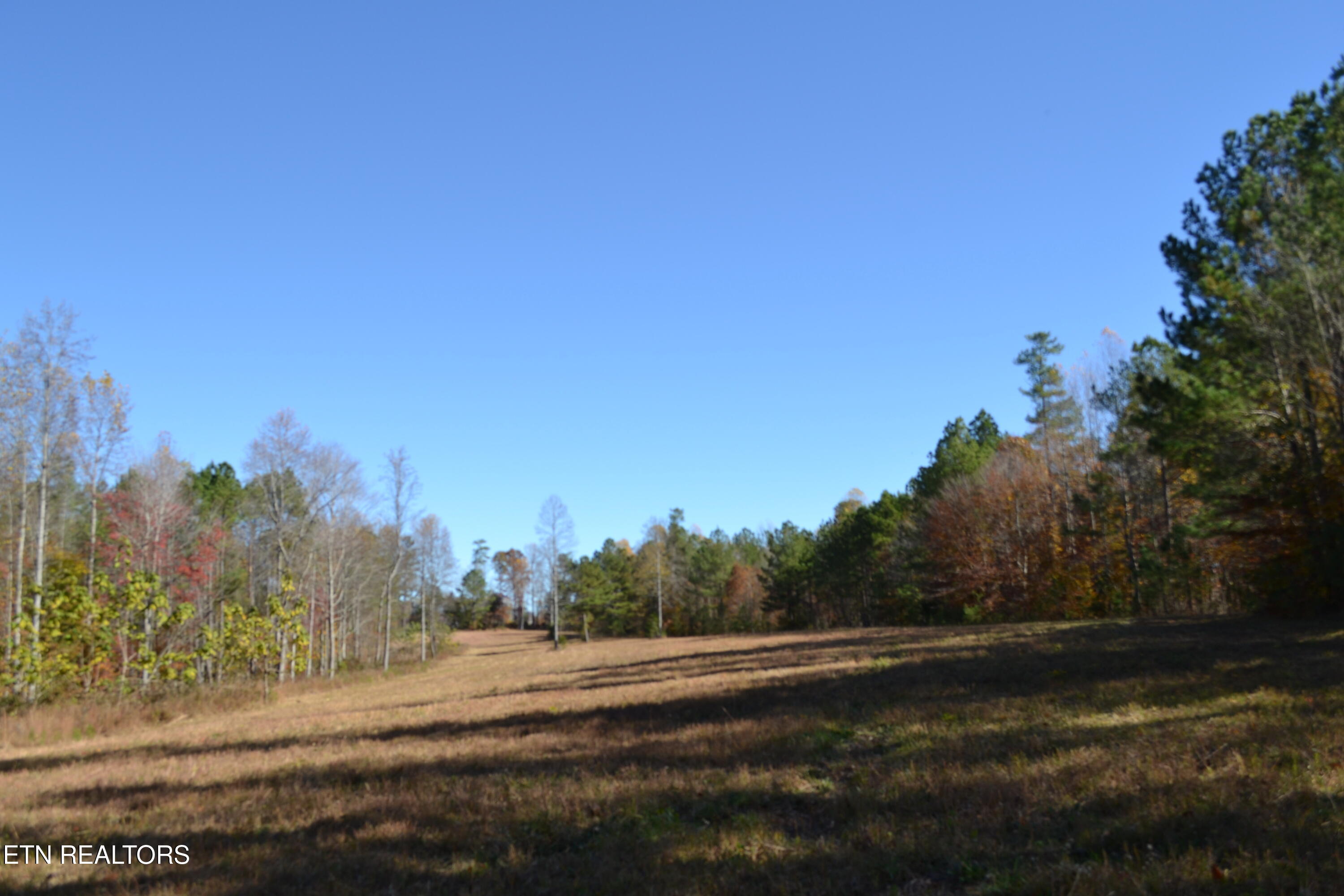 28.30AC Whitson Hollow Road Red Boiling Springs TN 37150