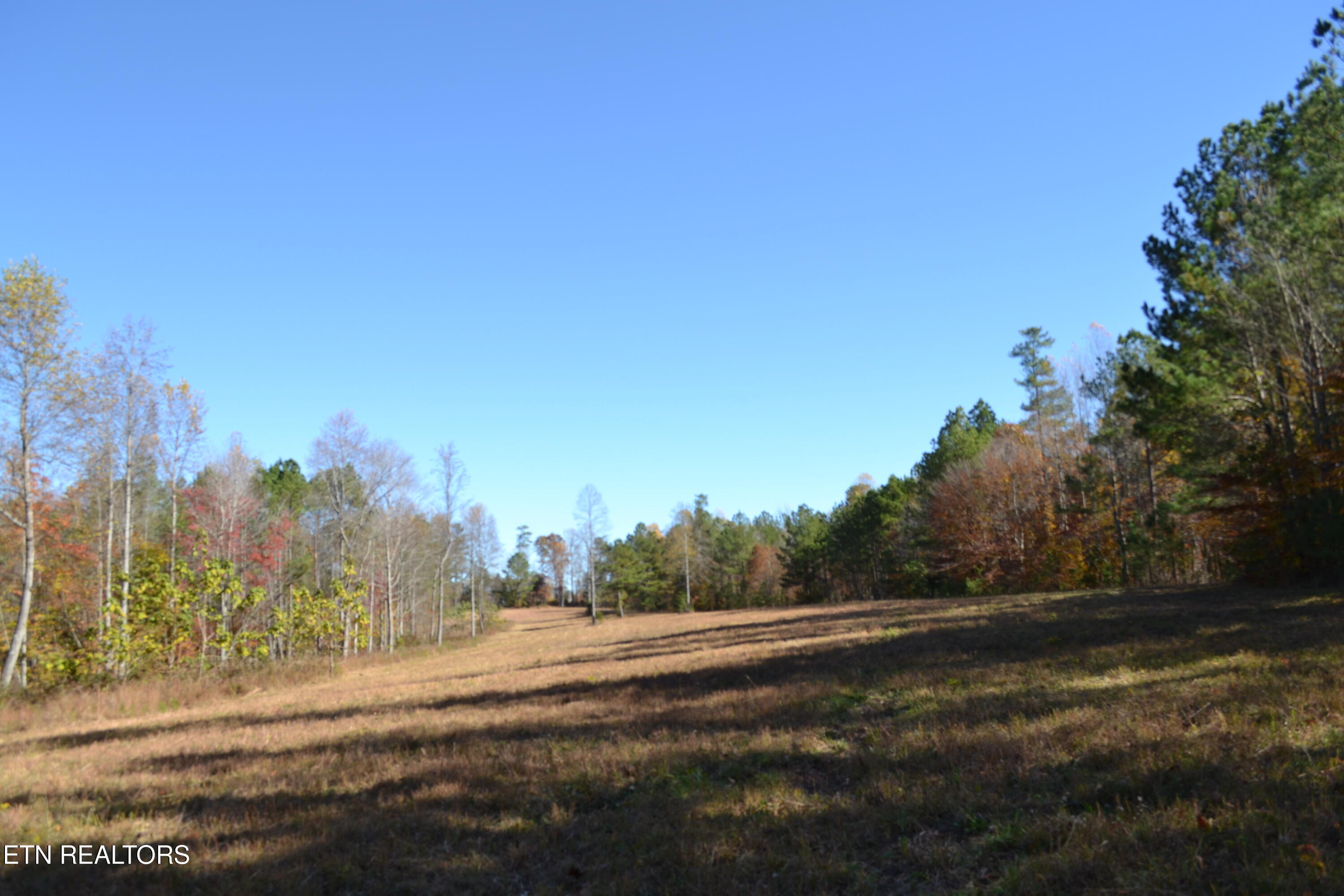 28.30AC Whitson Hollow Road Red Boiling Springs TN 37150
