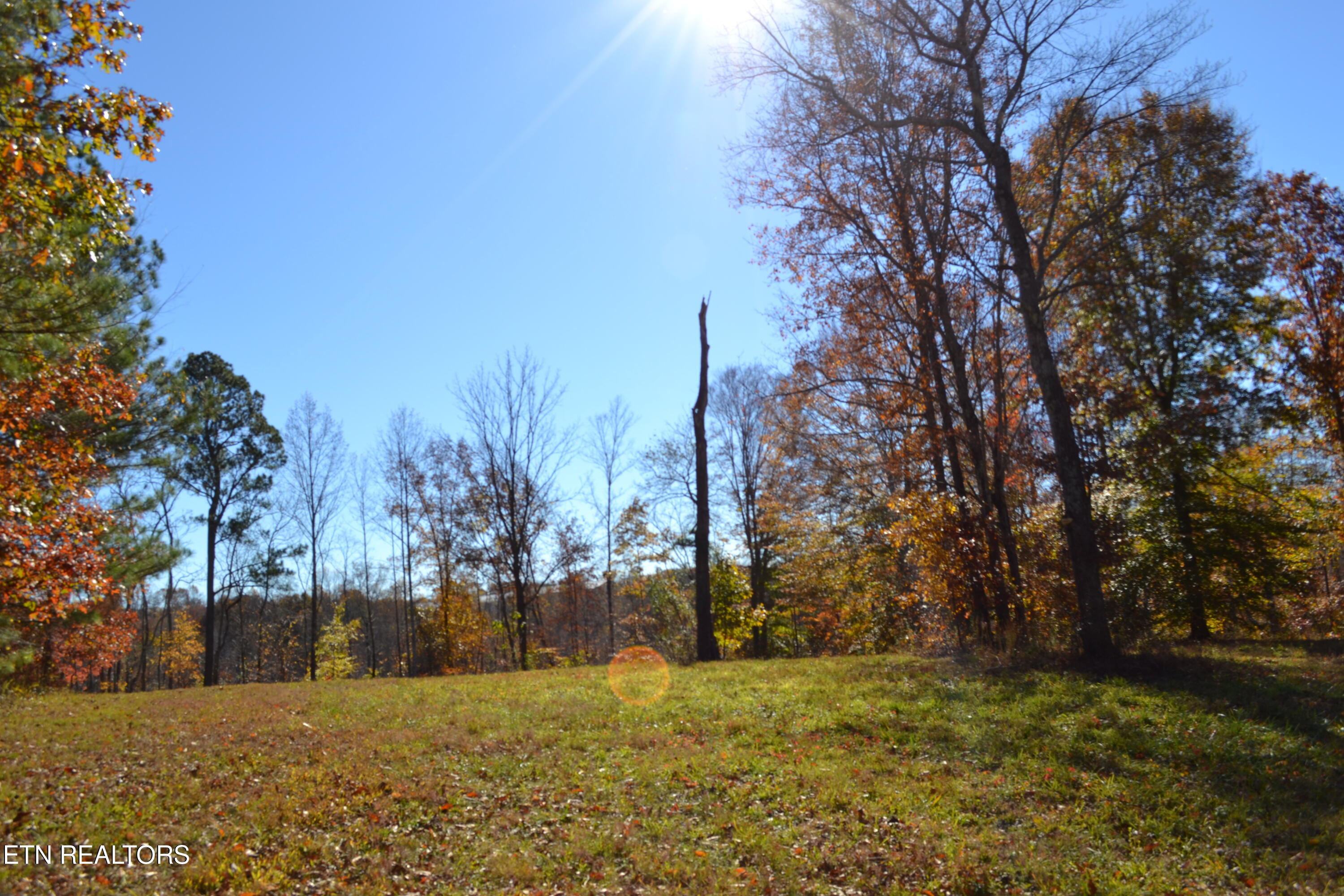 28.30AC Whitson Hollow Road Red Boiling Springs TN 37150