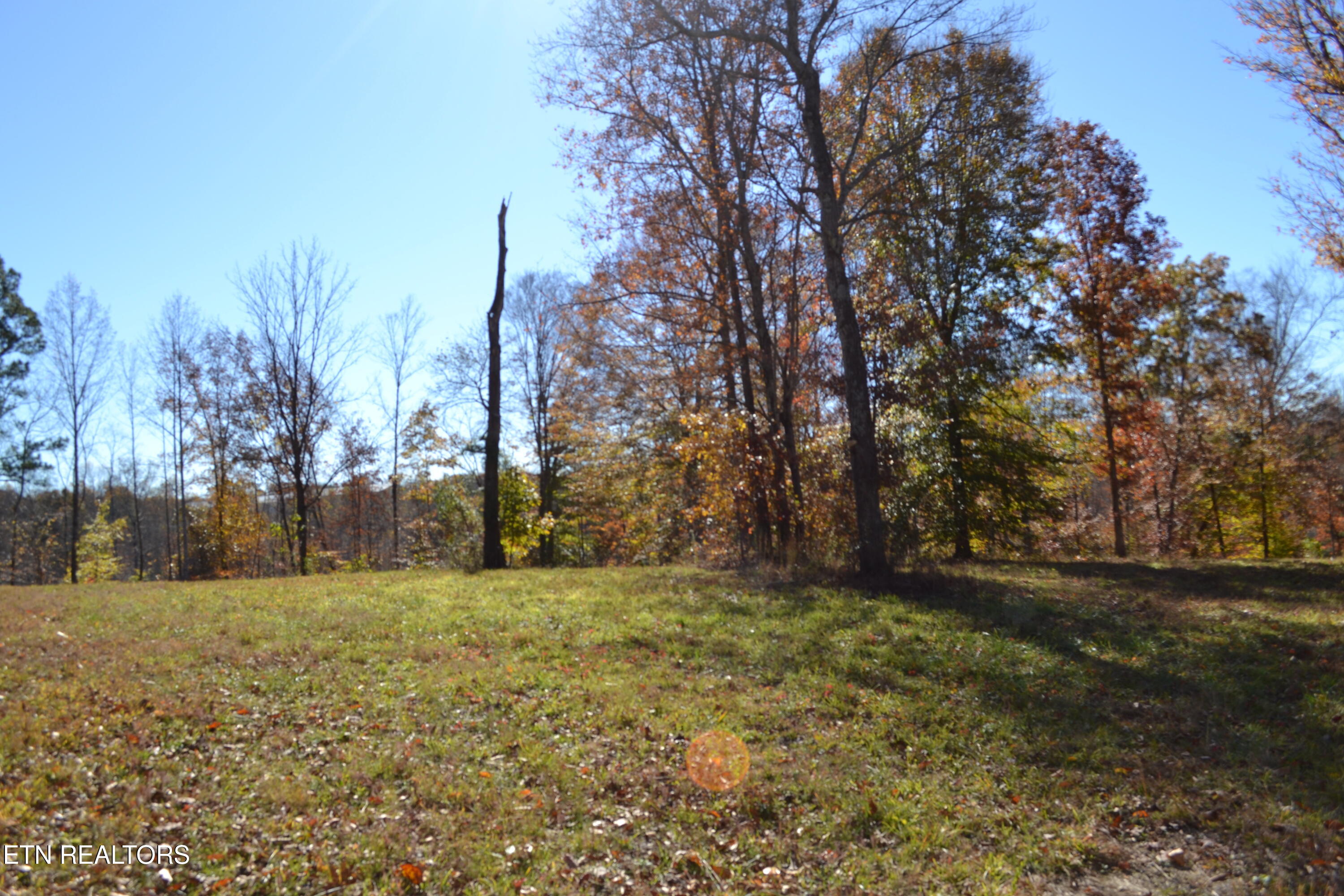 28.30AC Whitson Hollow Road Red Boiling Springs TN 37150