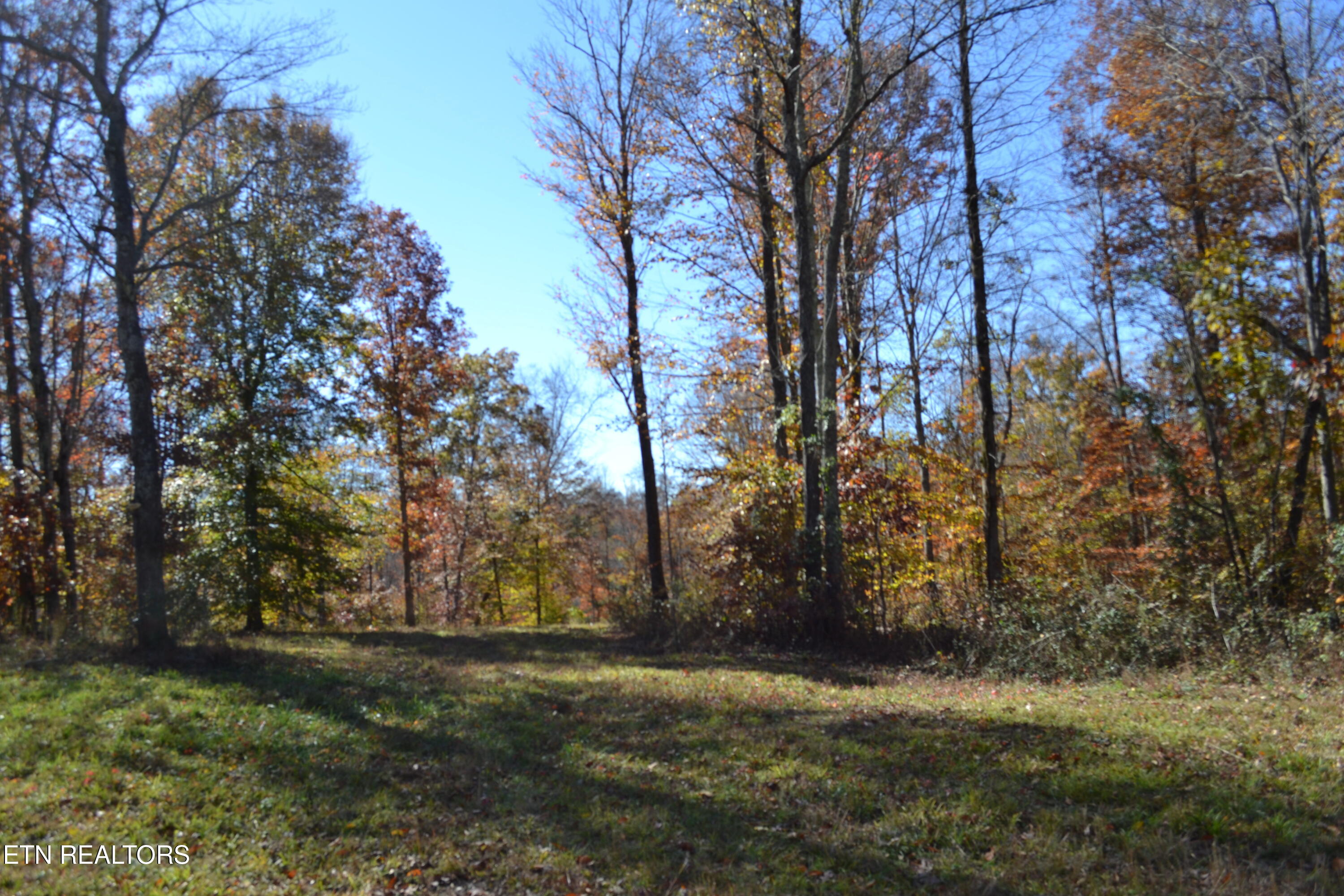 28.30AC Whitson Hollow Road Red Boiling Springs TN 37150