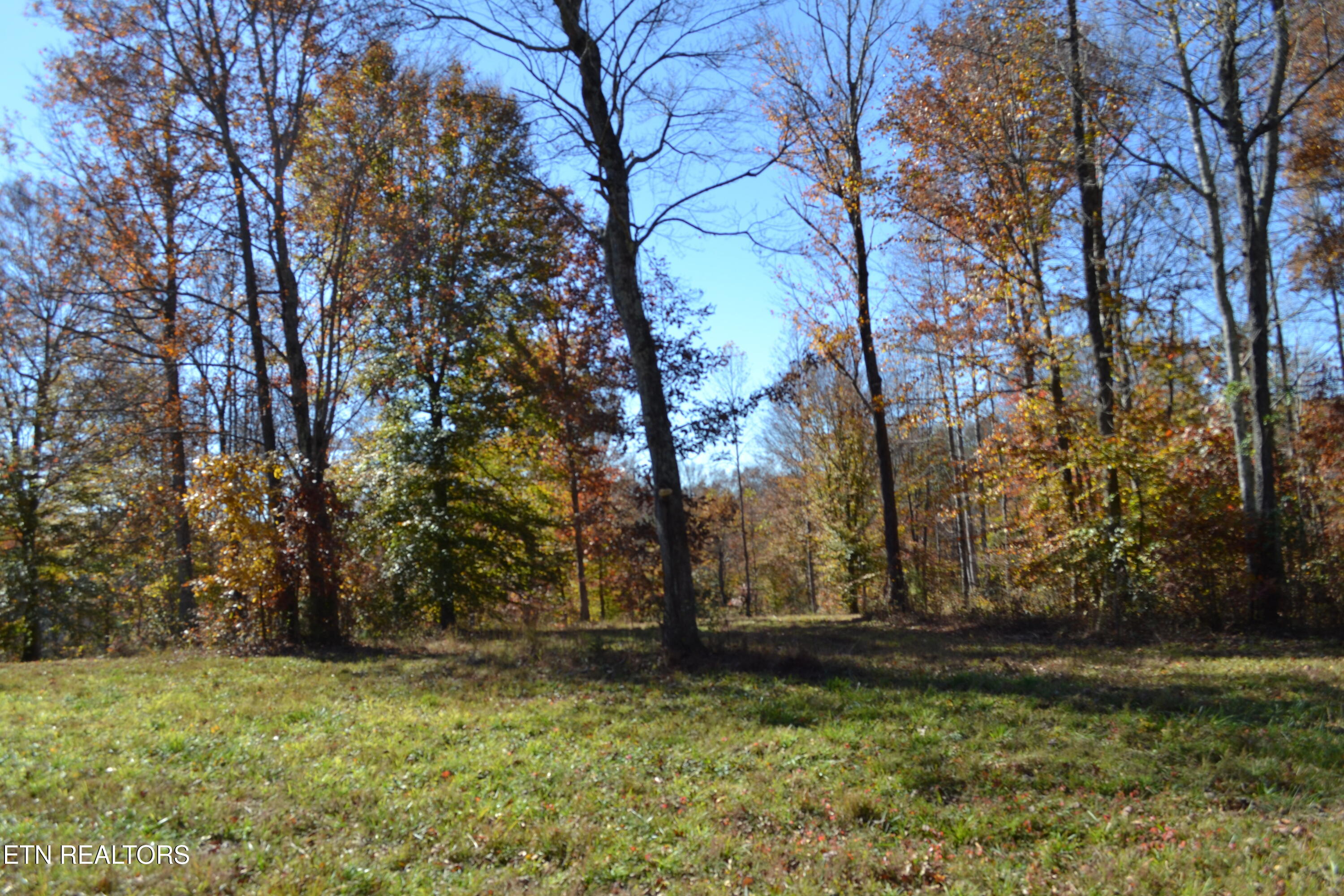 28.30AC Whitson Hollow Road Red Boiling Springs TN 37150
