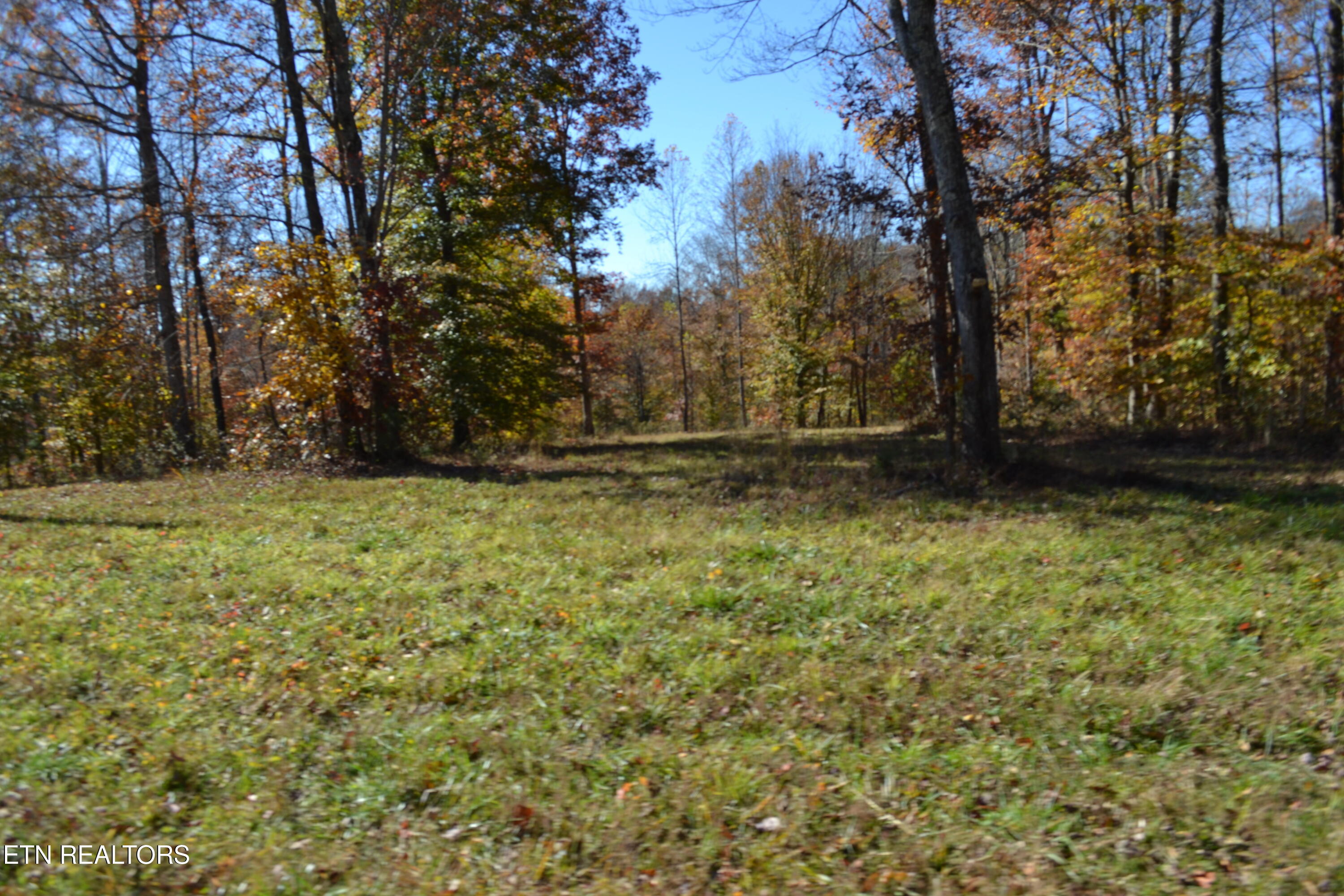28.30AC Whitson Hollow Road Red Boiling Springs TN 37150