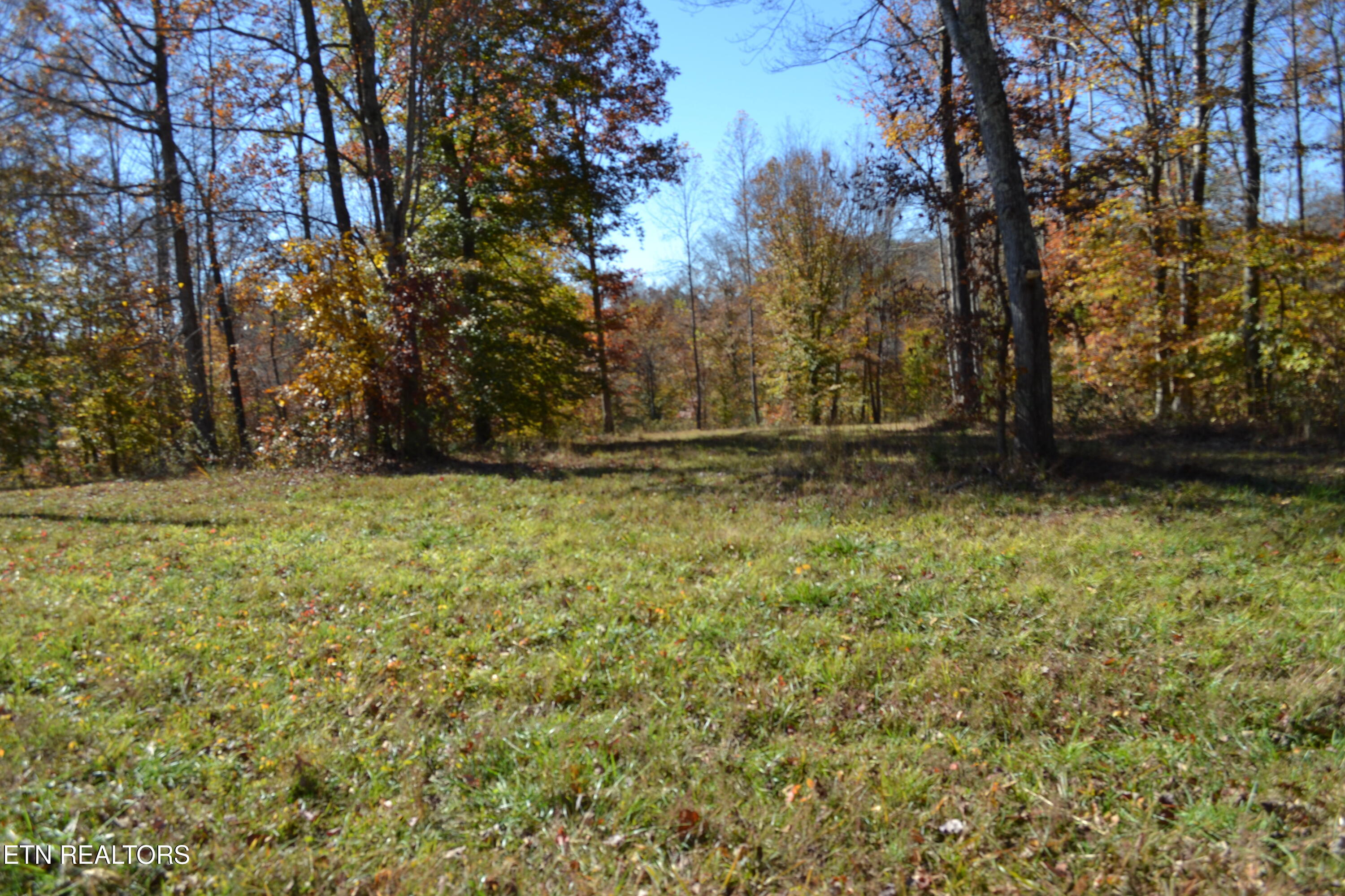 28.30AC Whitson Hollow Road Red Boiling Springs TN 37150