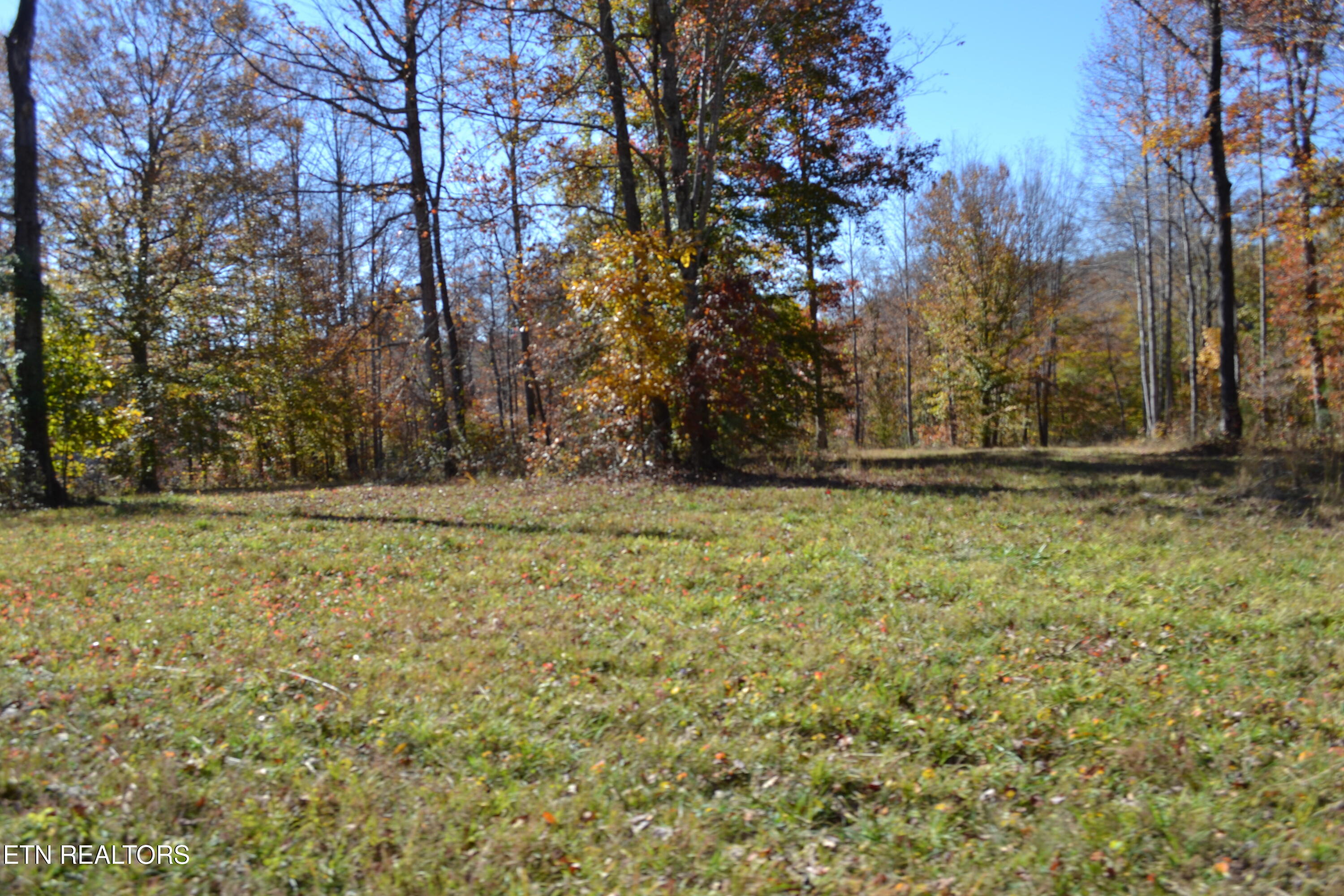 28.30AC Whitson Hollow Road Red Boiling Springs TN 37150