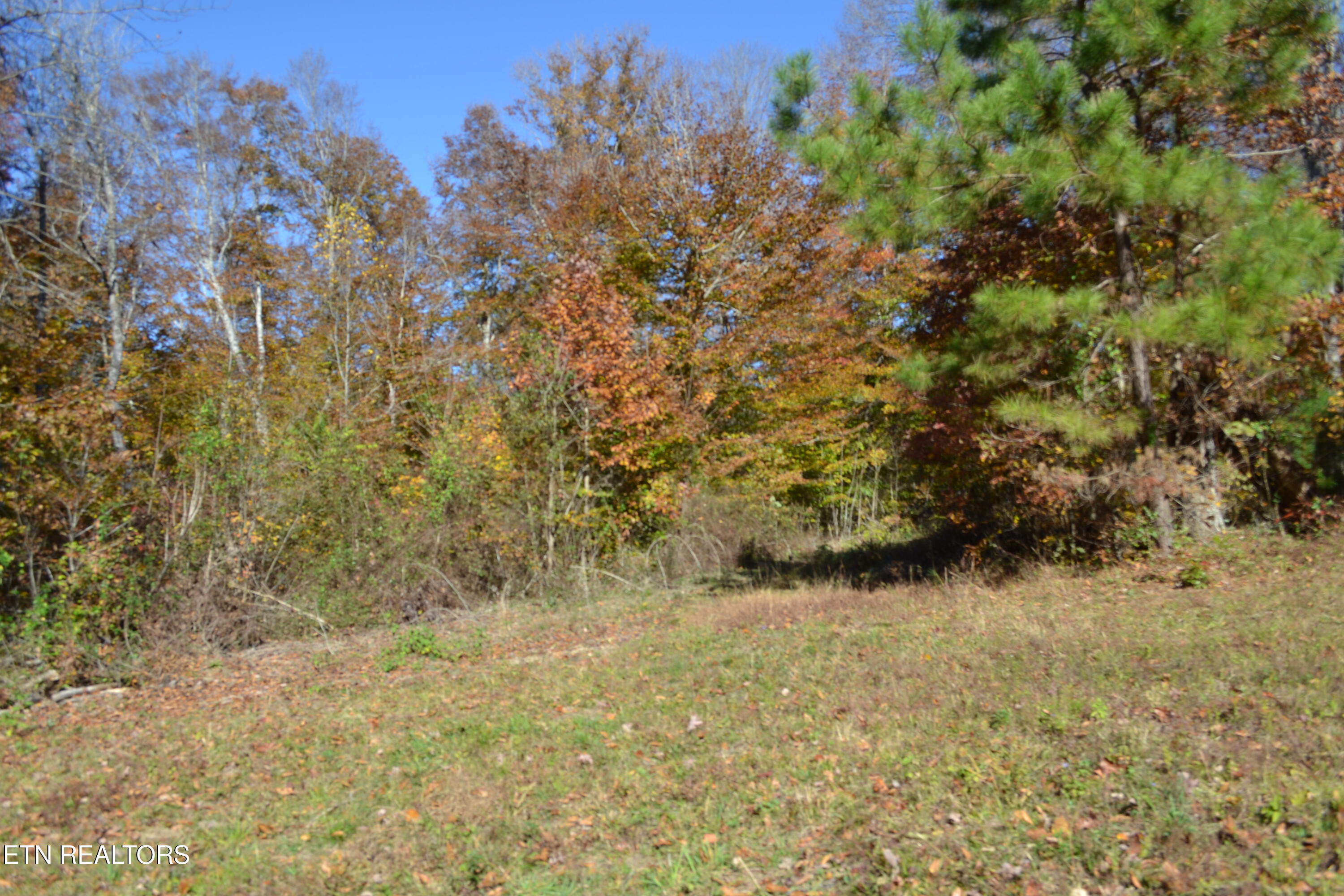 28.30AC Whitson Hollow Road Red Boiling Springs TN 37150