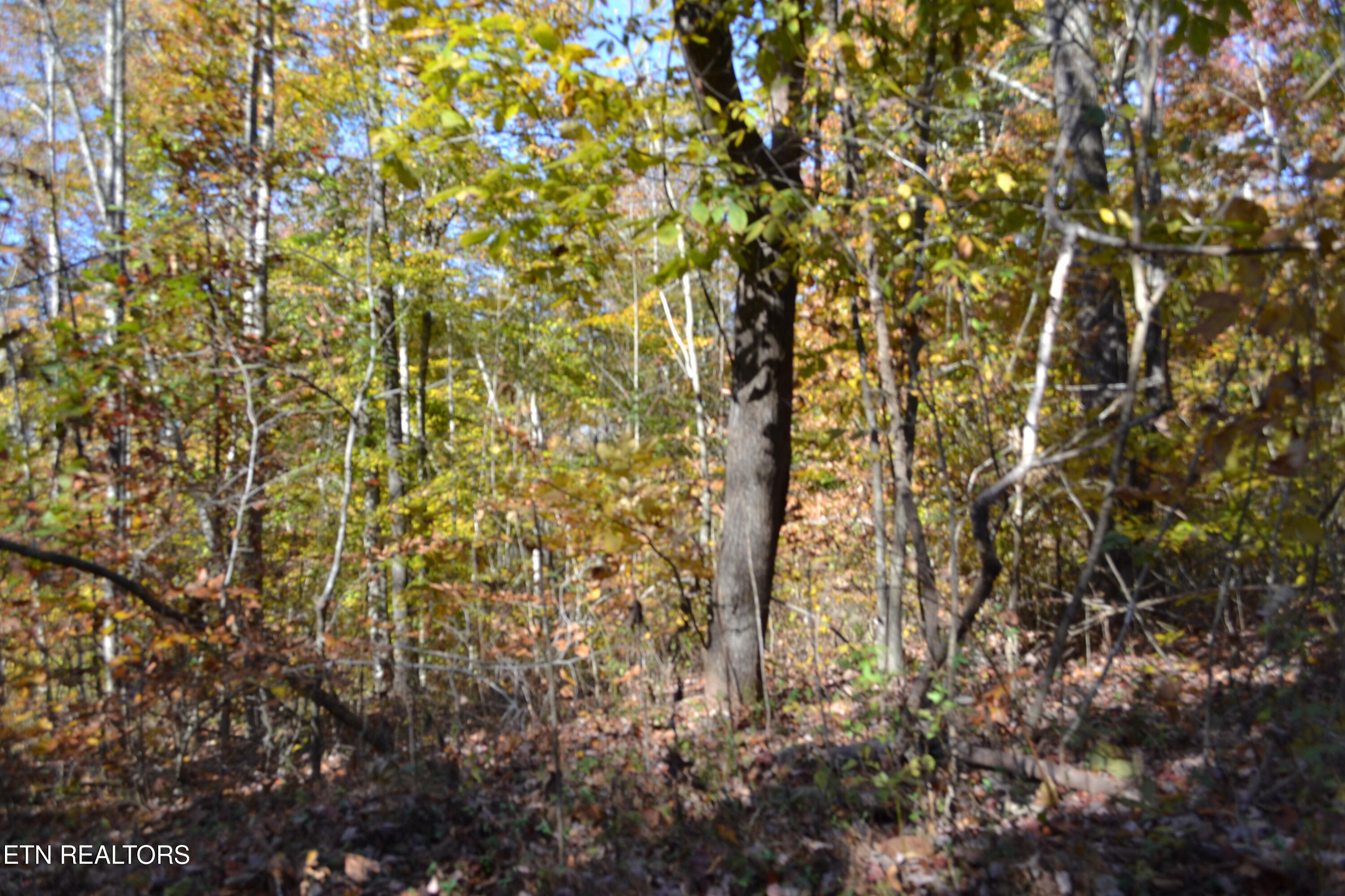 28.30AC Whitson Hollow Road Red Boiling Springs TN 37150