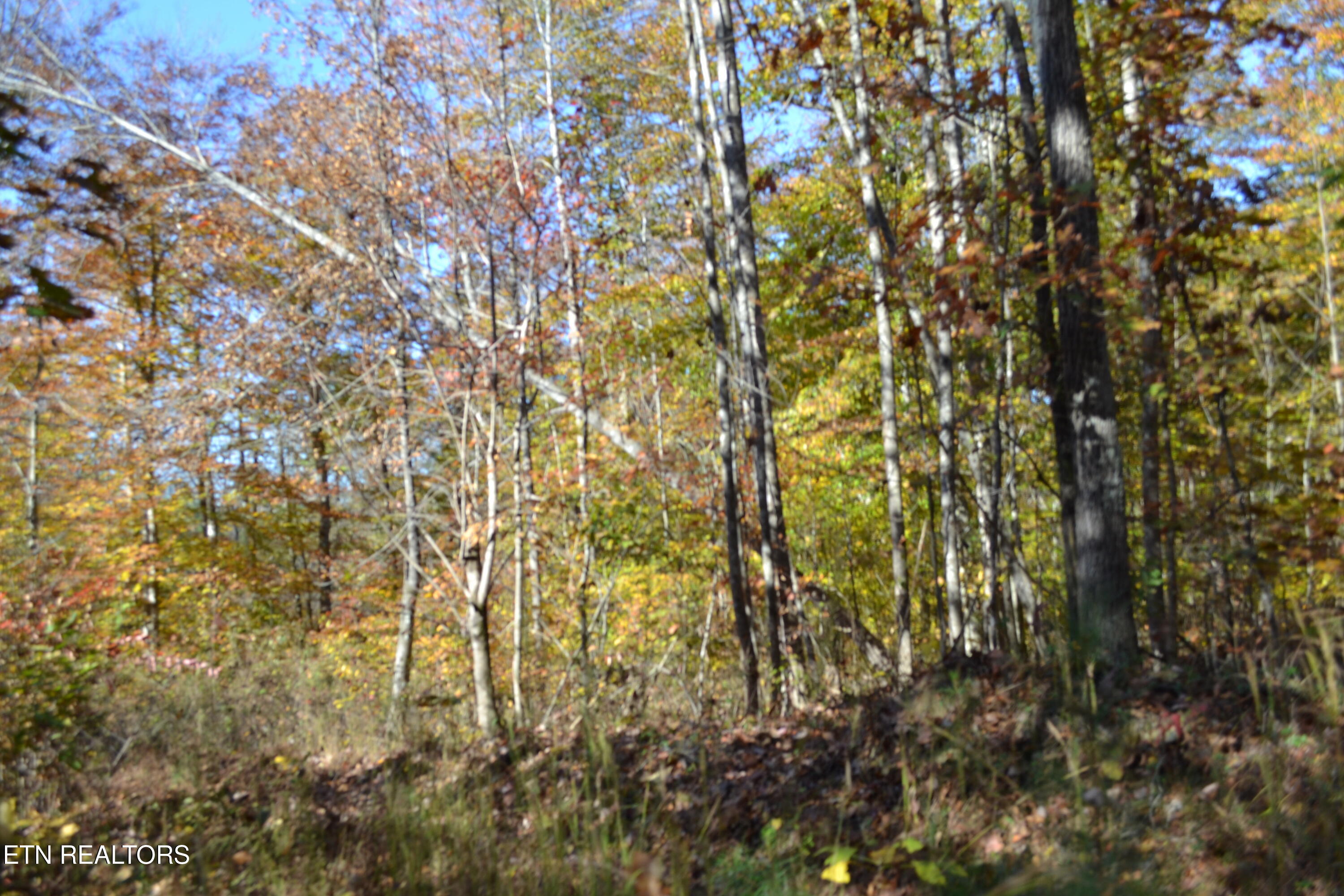 28.30AC Whitson Hollow Road Red Boiling Springs TN 37150