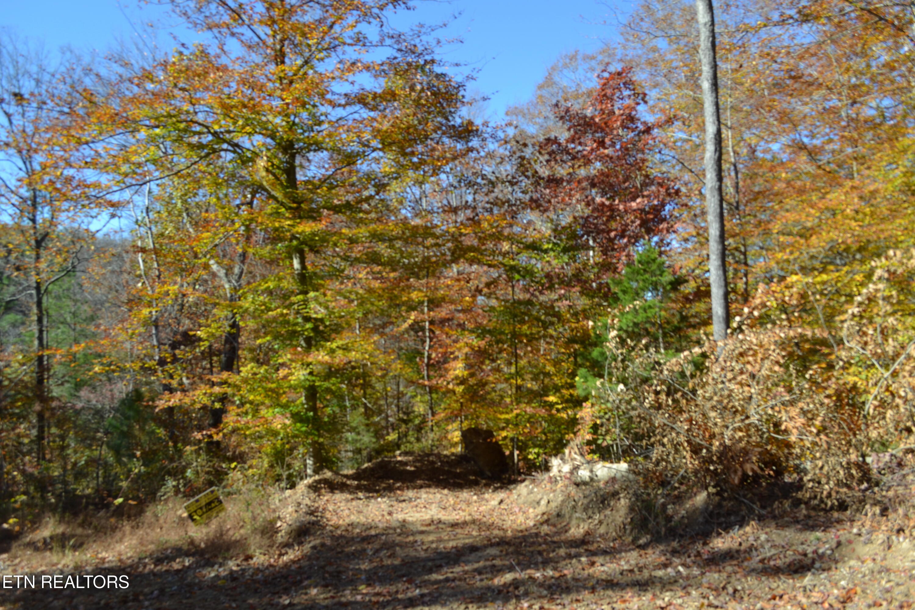 28.30AC Whitson Hollow Road Red Boiling Springs TN 37150
