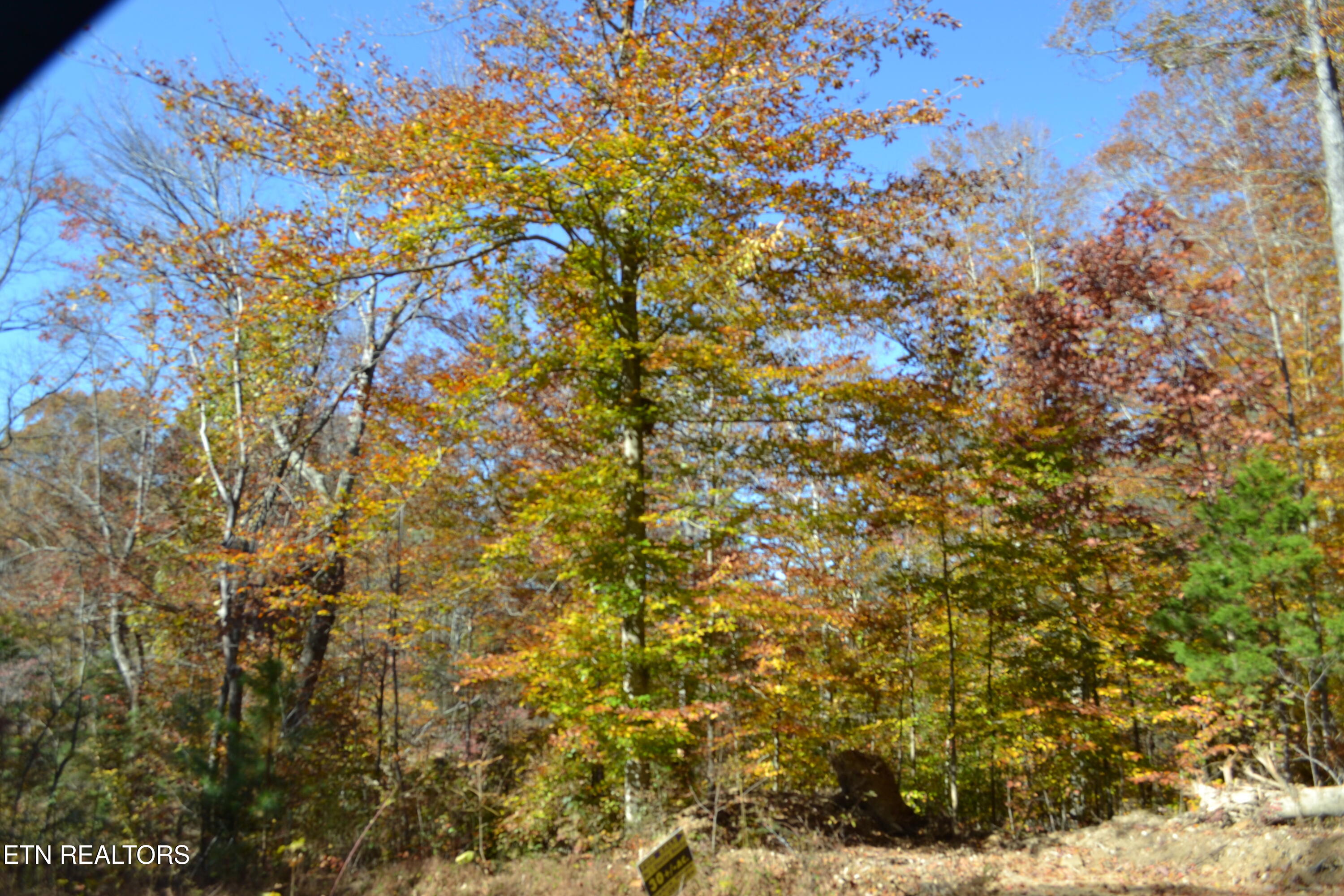 28.30AC Whitson Hollow Road Red Boiling Springs TN 37150