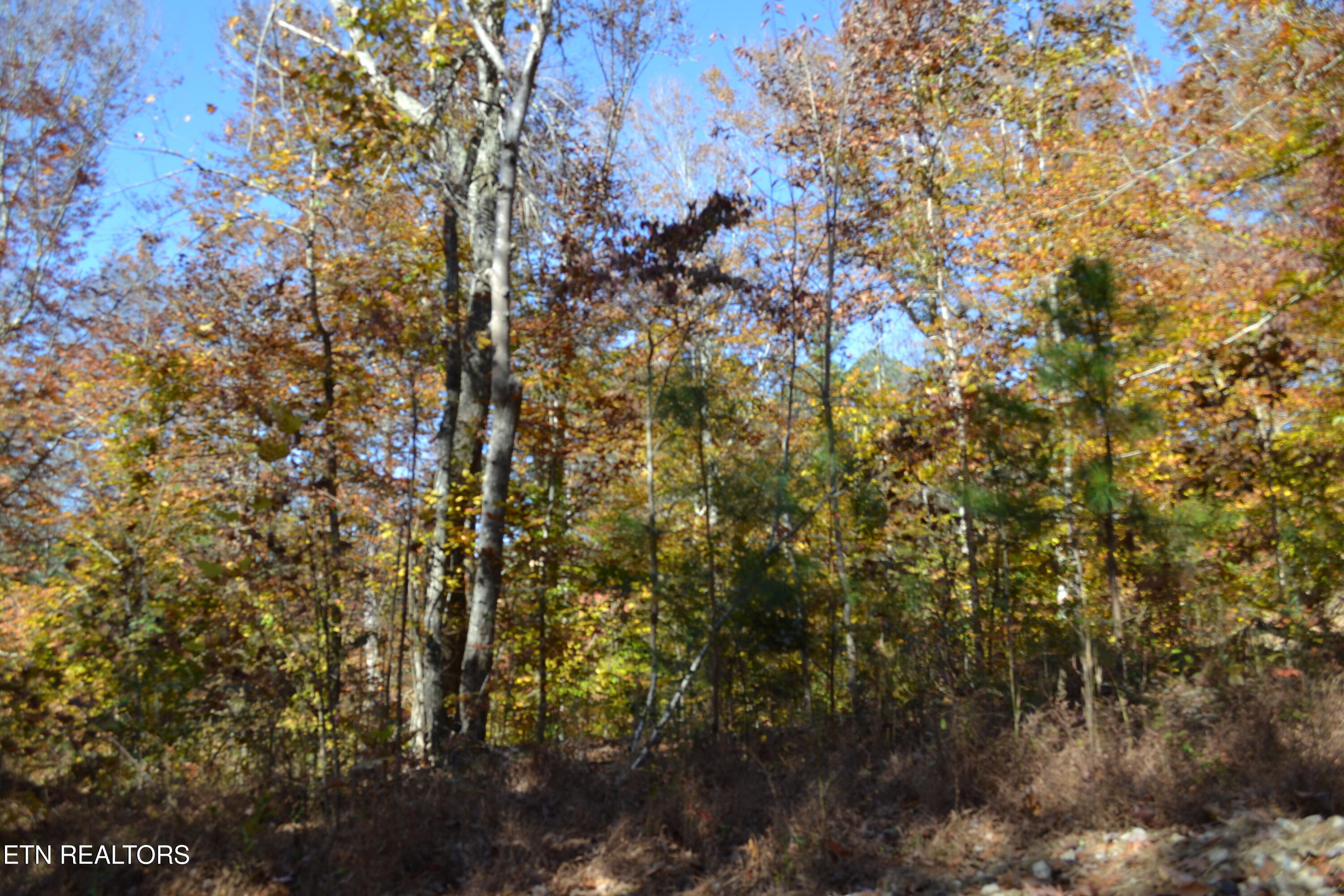 28.30AC Whitson Hollow Road Red Boiling Springs TN 37150