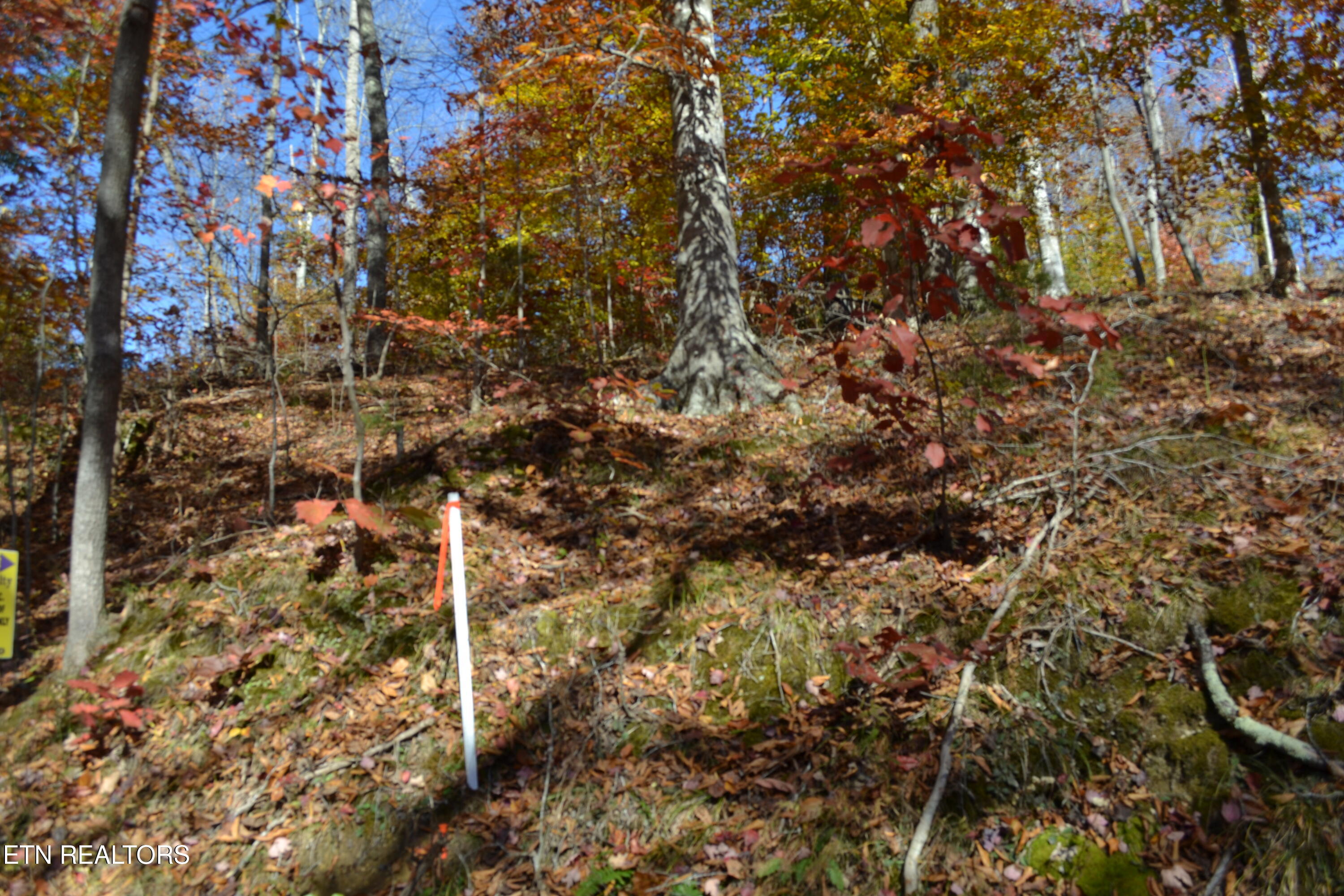 28.30AC Whitson Hollow Road Red Boiling Springs TN 37150