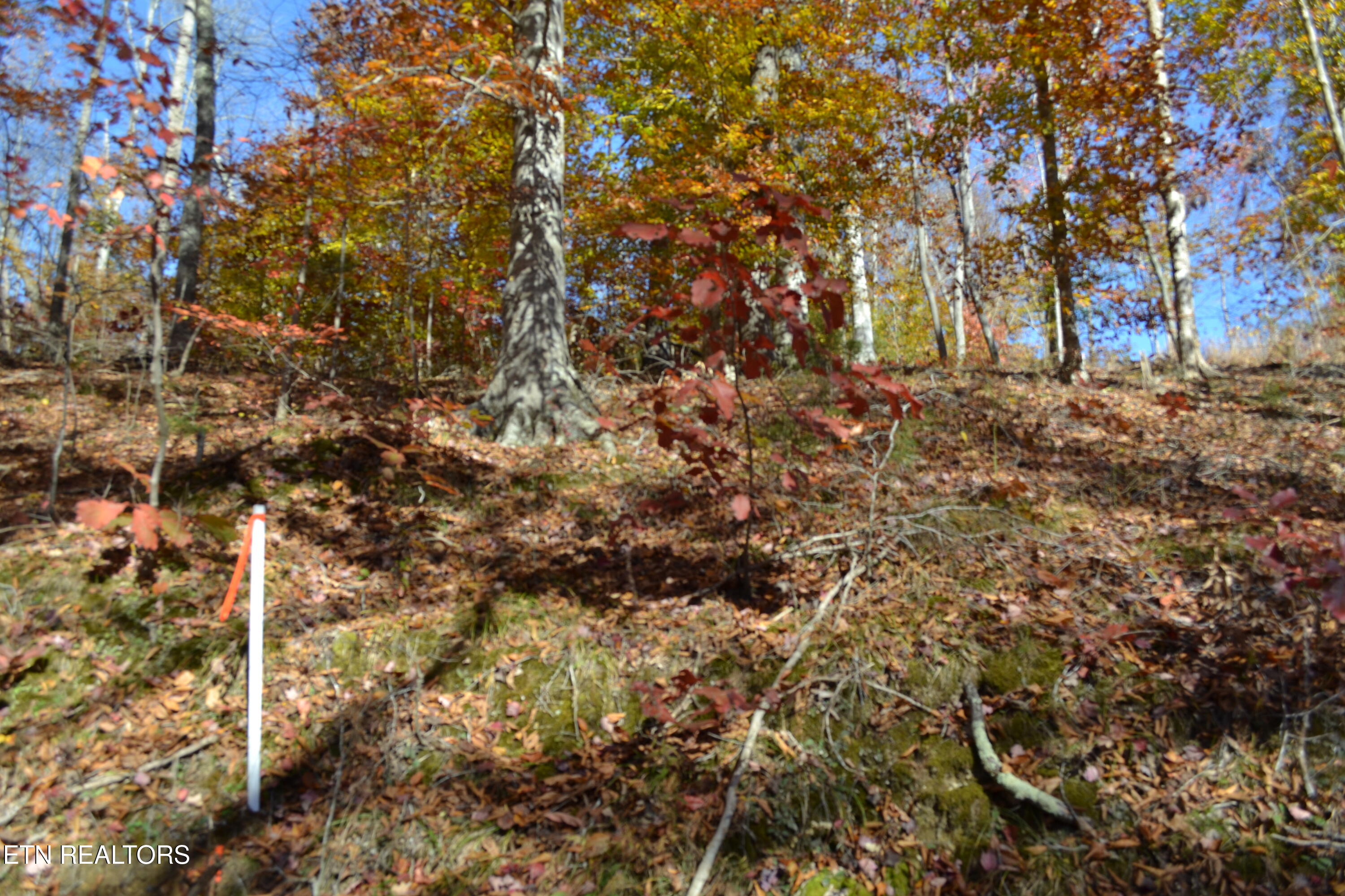 28.30AC Whitson Hollow Road Red Boiling Springs TN 37150
