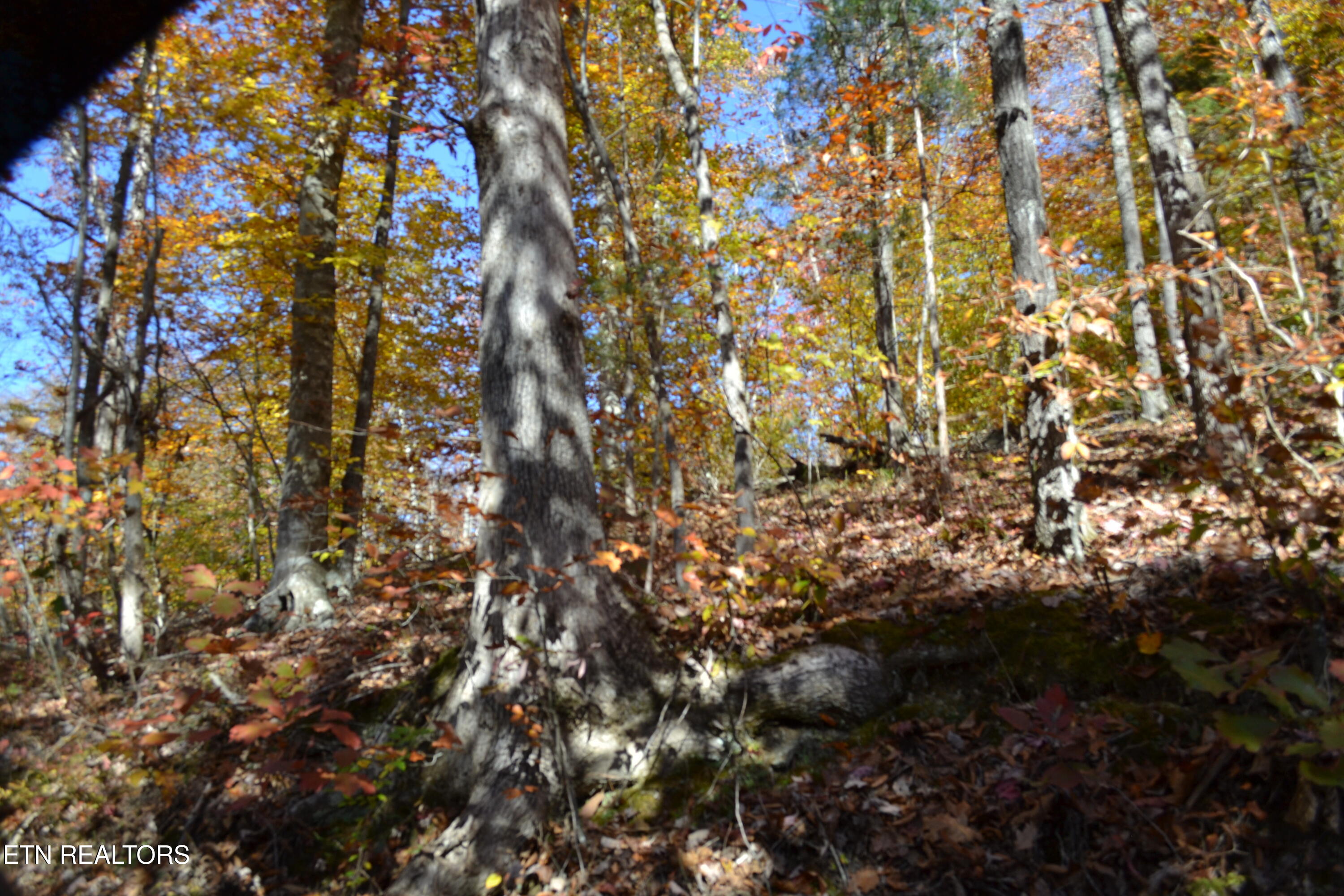 28.30AC Whitson Hollow Road Red Boiling Springs TN 37150