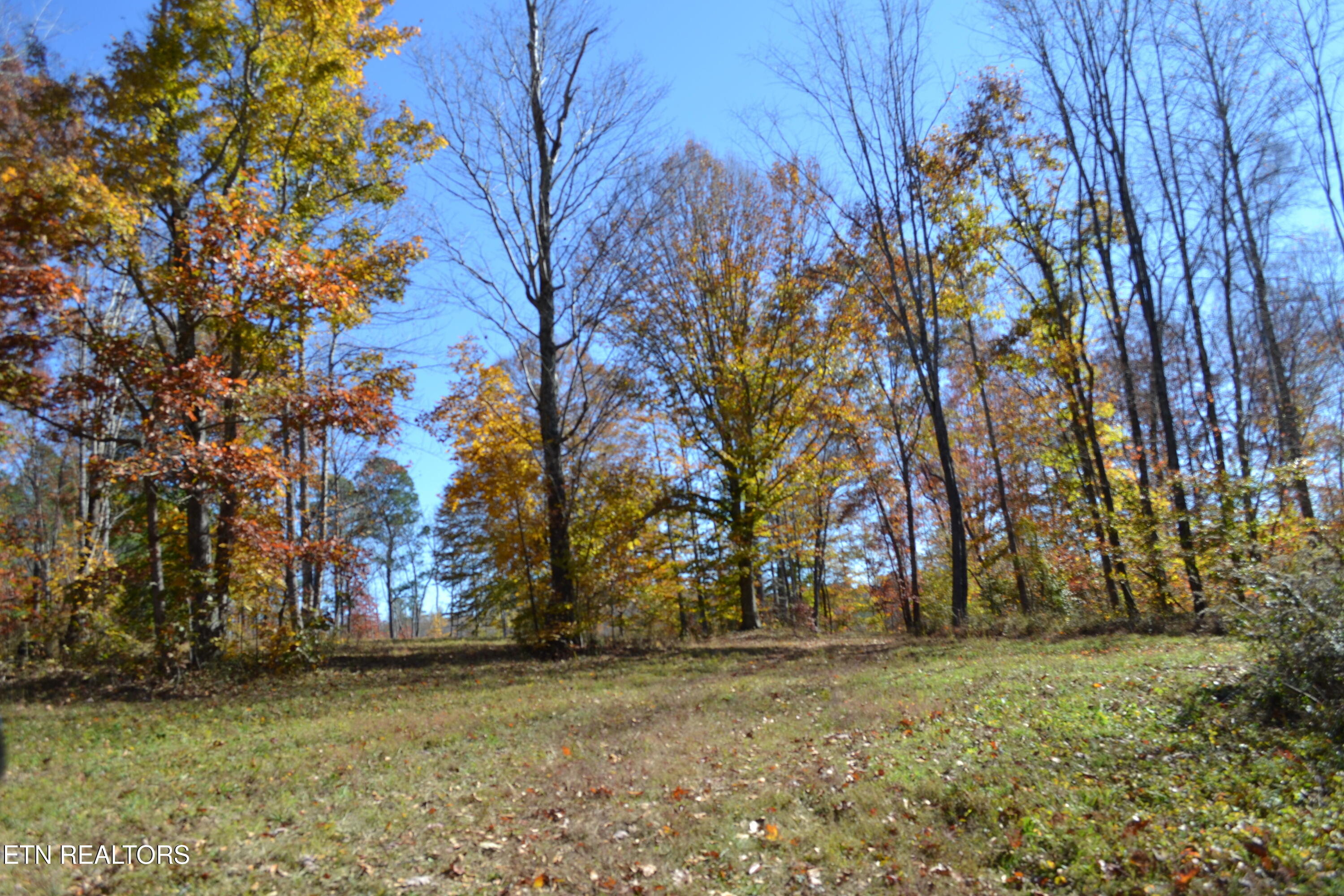 28.30AC Whitson Hollow Road Red Boiling Springs TN 37150