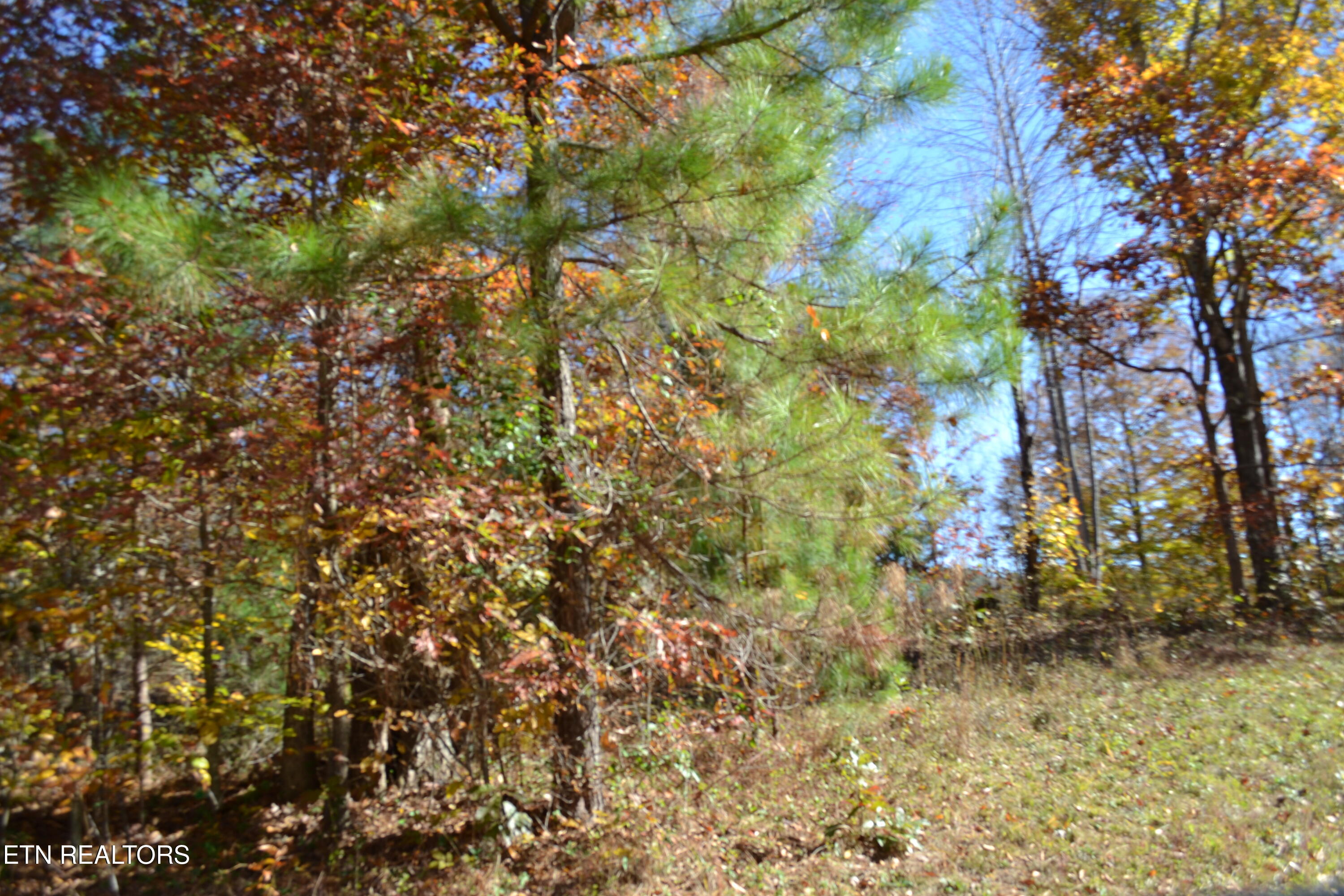 28.30AC Whitson Hollow Road Red Boiling Springs TN 37150