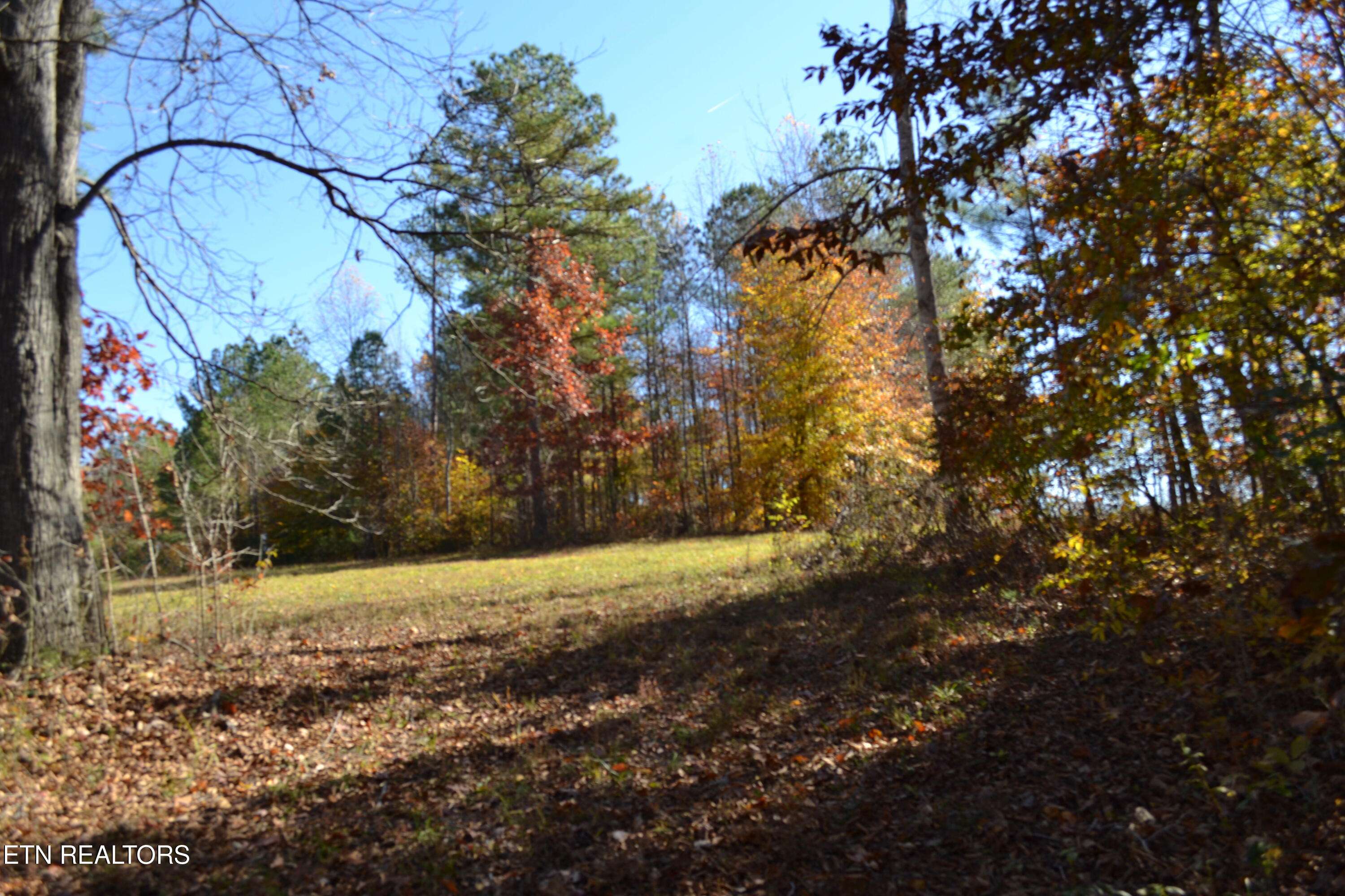 28.30AC Whitson Hollow Road Red Boiling Springs TN 37150