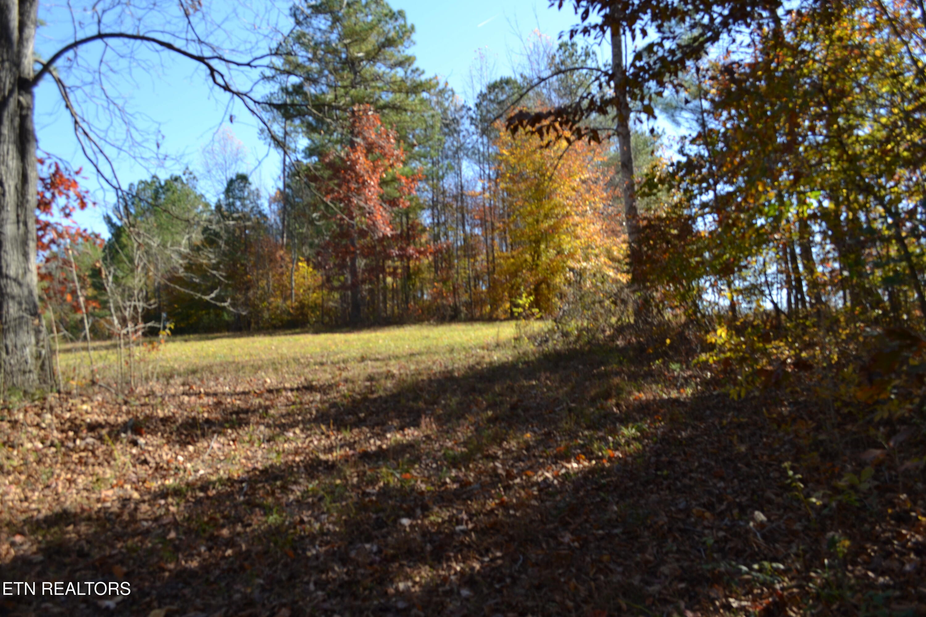 28.30AC Whitson Hollow Road Red Boiling Springs TN 37150